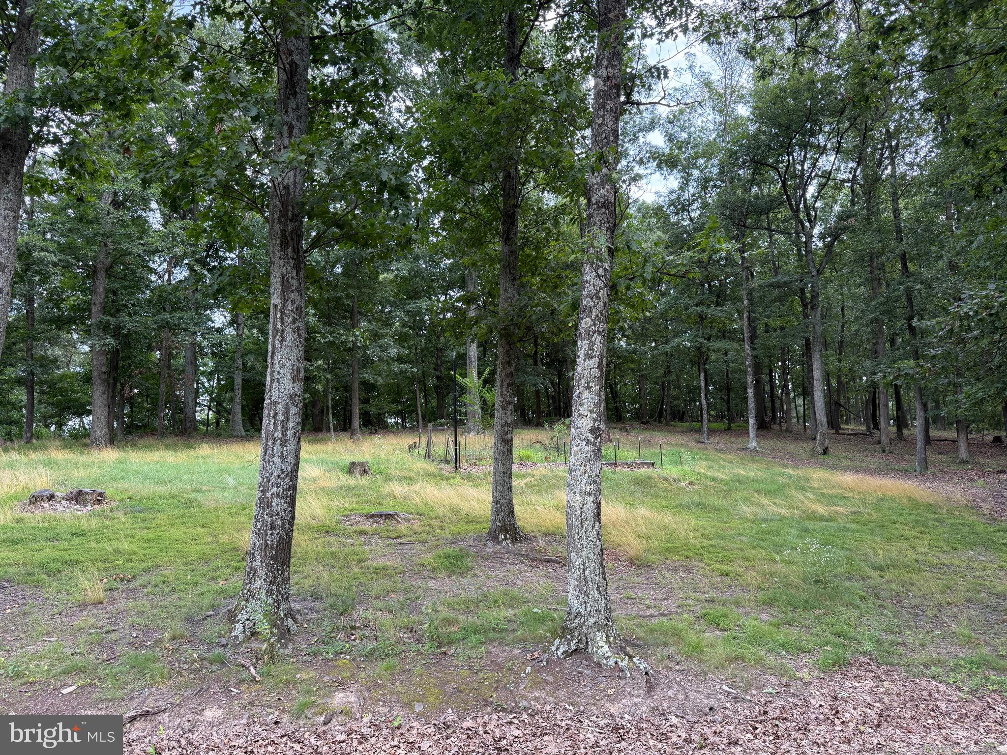 LEVELS VIEW - Residential