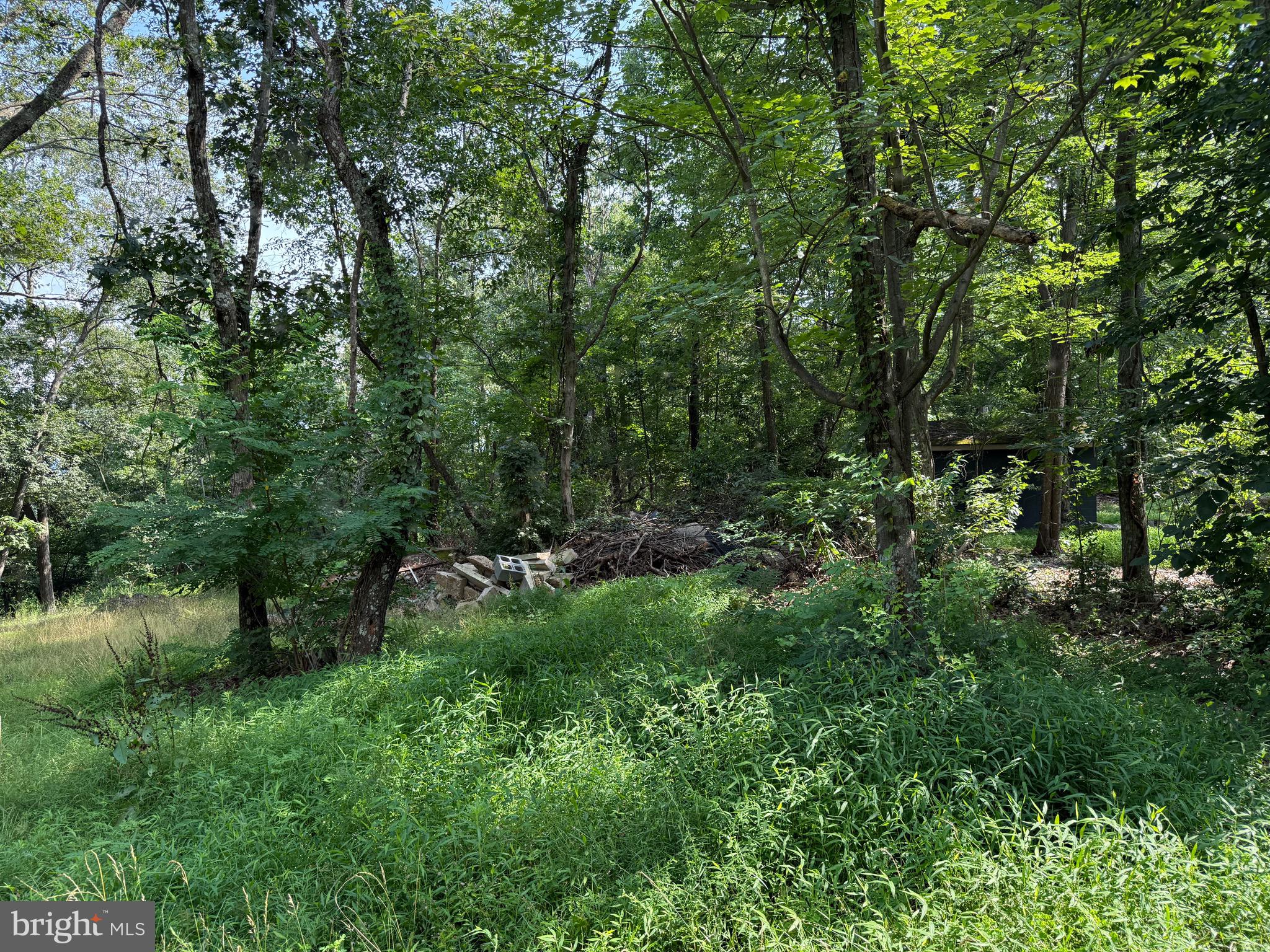 LEVELS VIEW - Residential