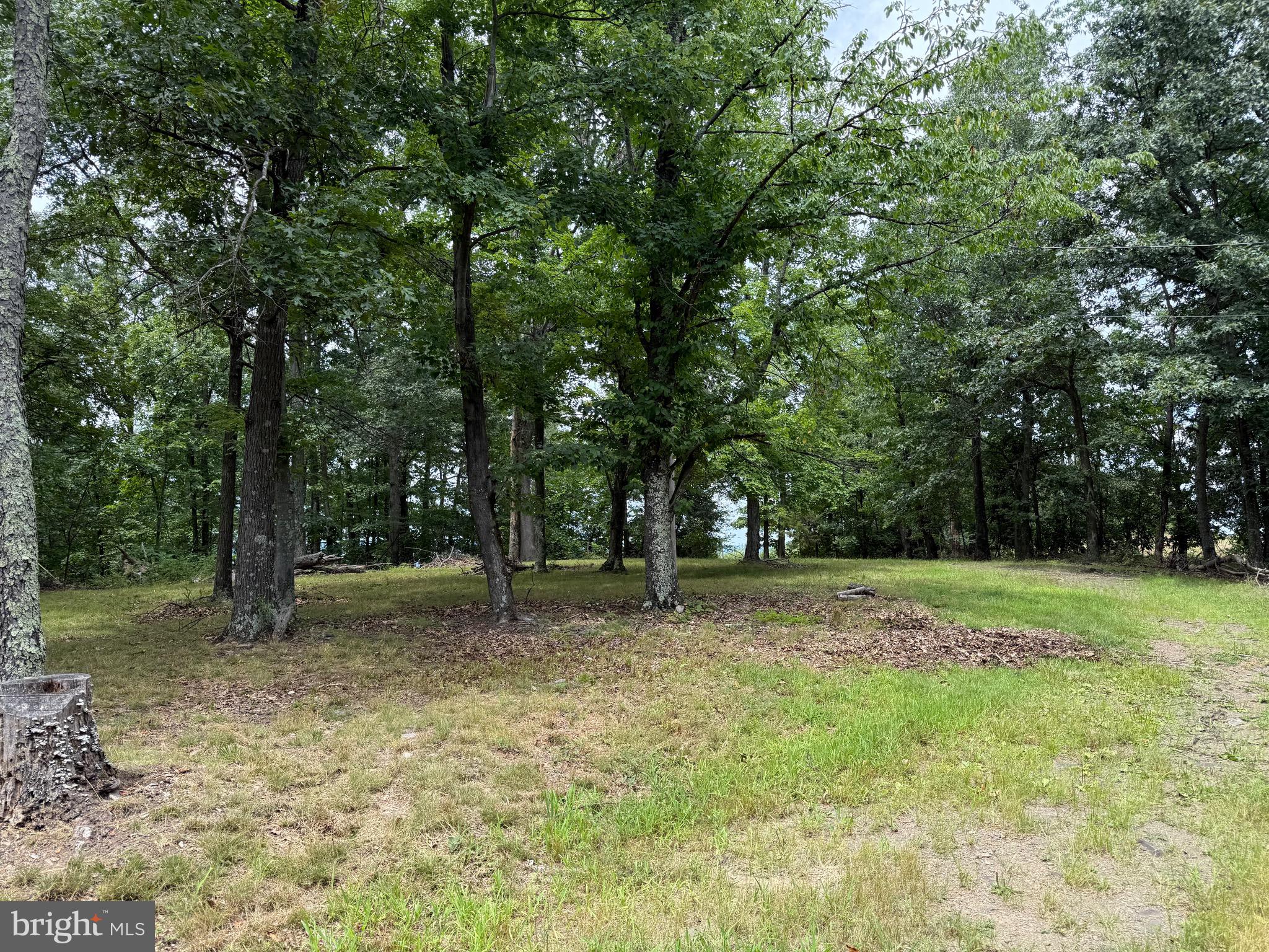 LEVELS VIEW - Residential