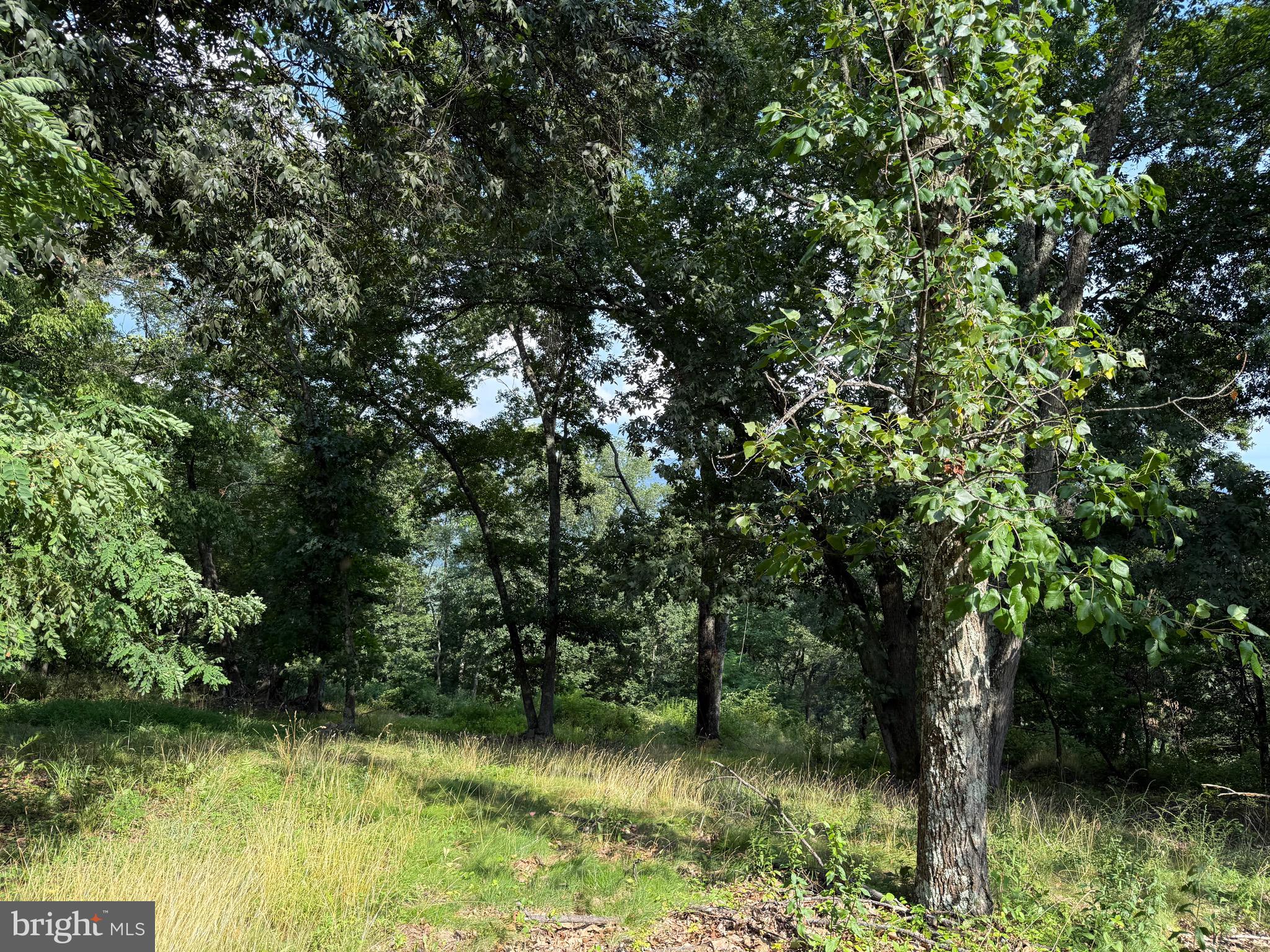 LEVELS VIEW - Residential