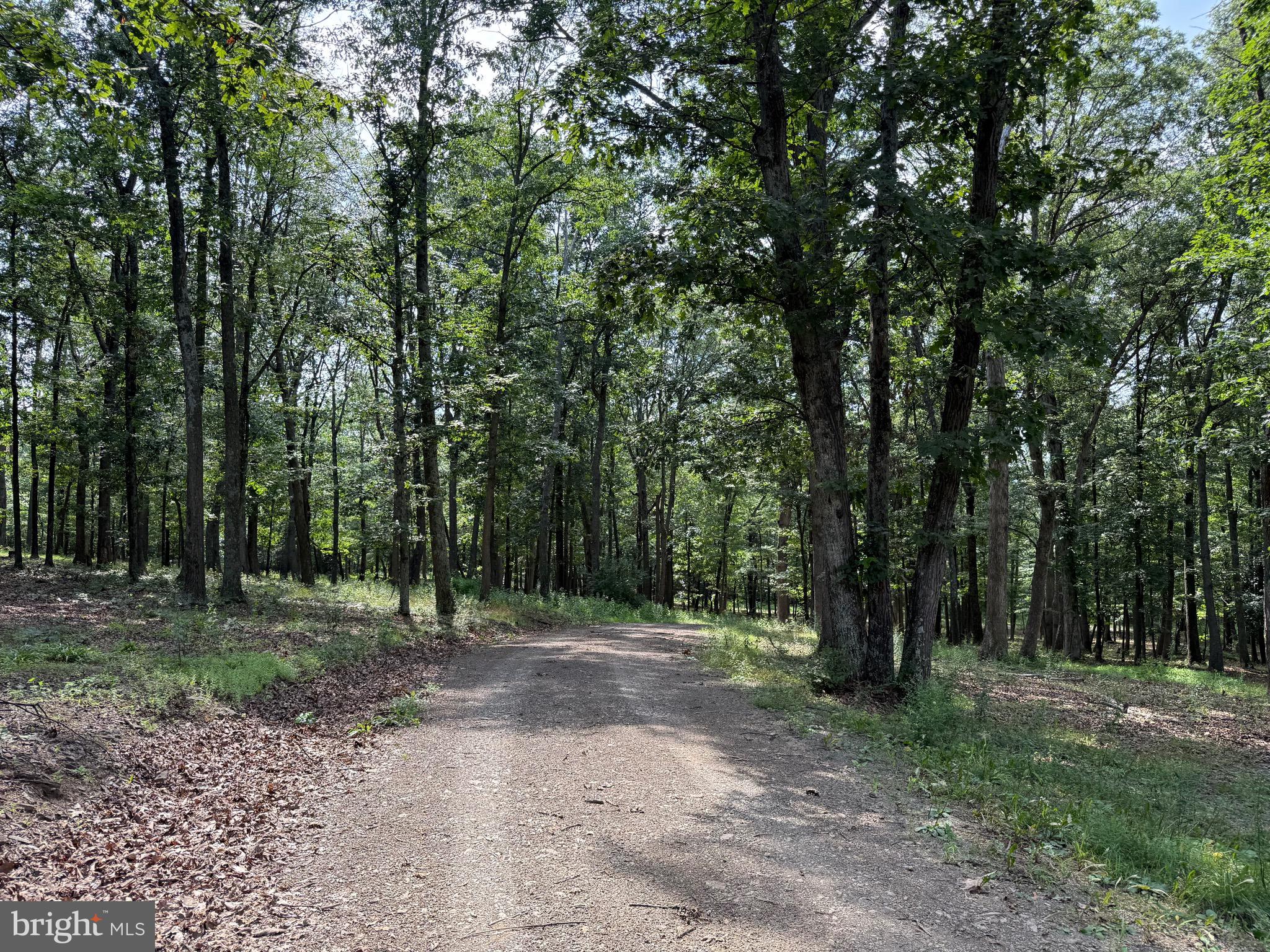 LEVELS VIEW - Residential