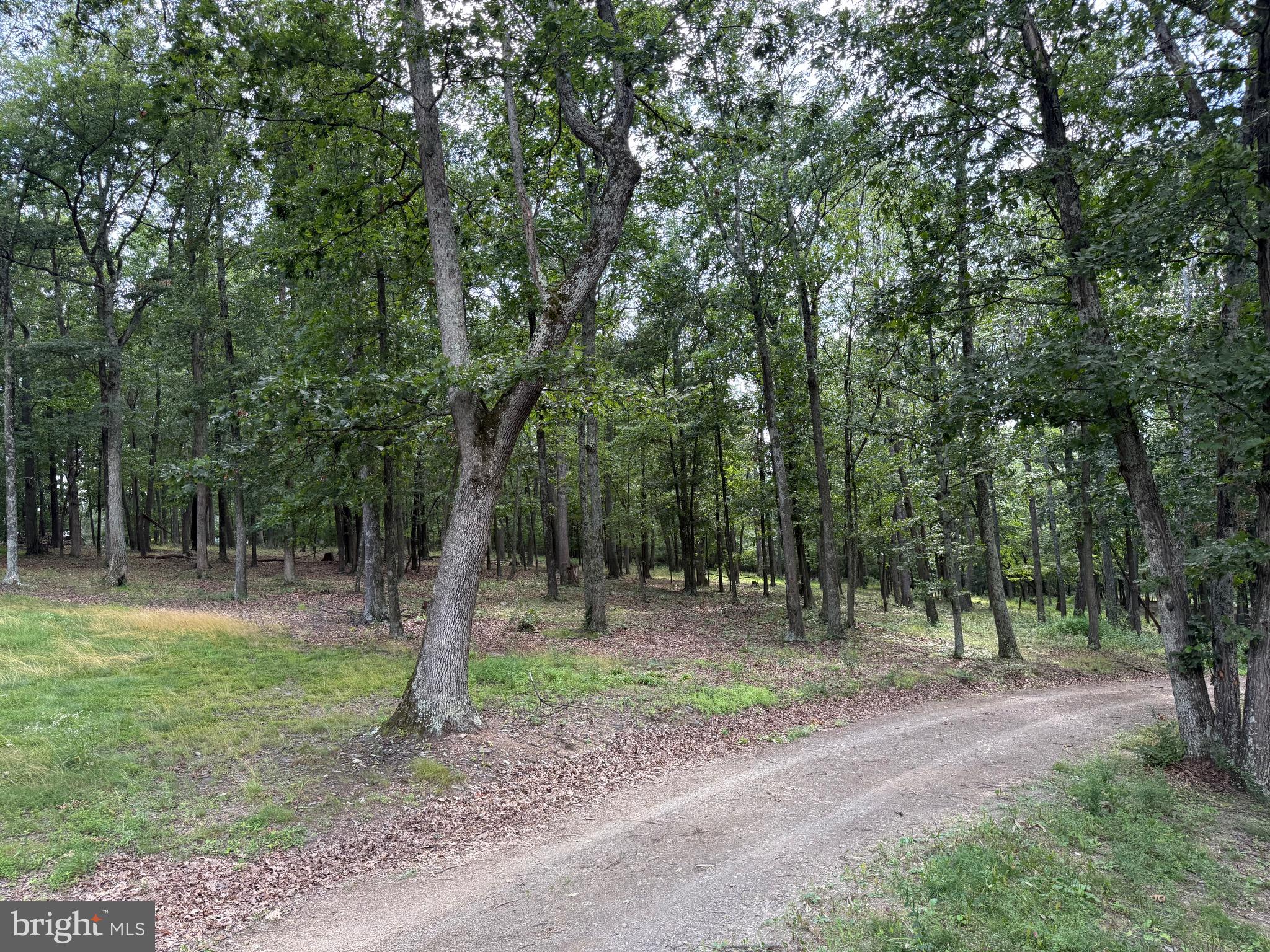 LEVELS VIEW - Residential