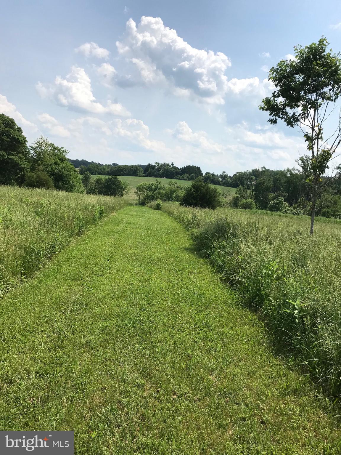 THE CHASE AT STONEY BROOK - Land