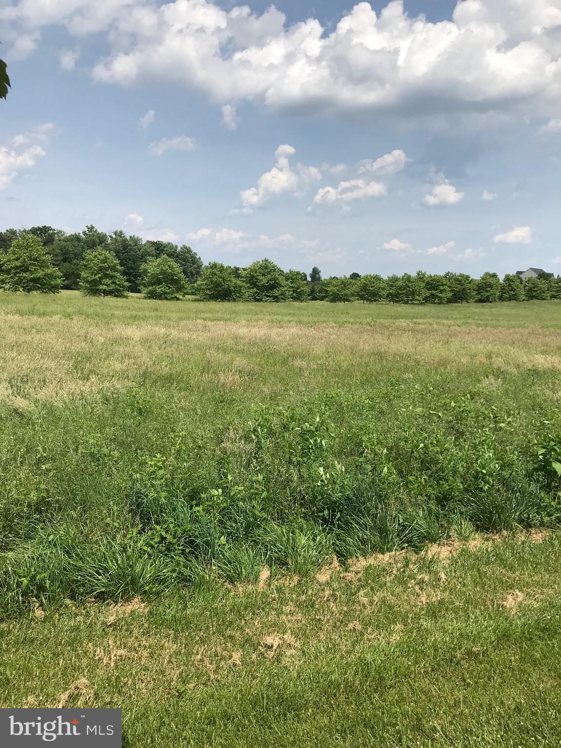 THE CHASE AT STONEY BROOK - Land