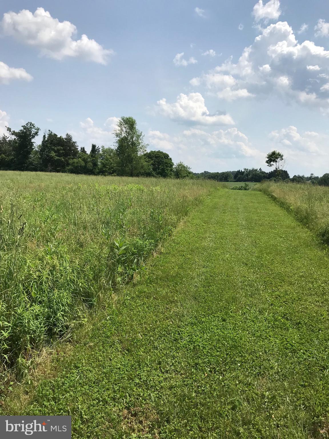 THE CHASE AT STONEY BROOK - Land