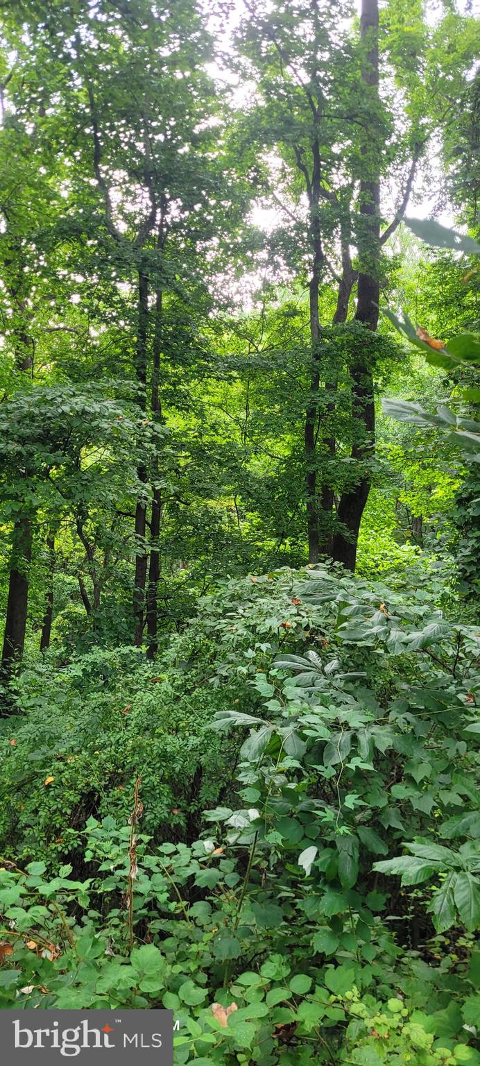 6281 FRANKLIN GIBSON ROAD