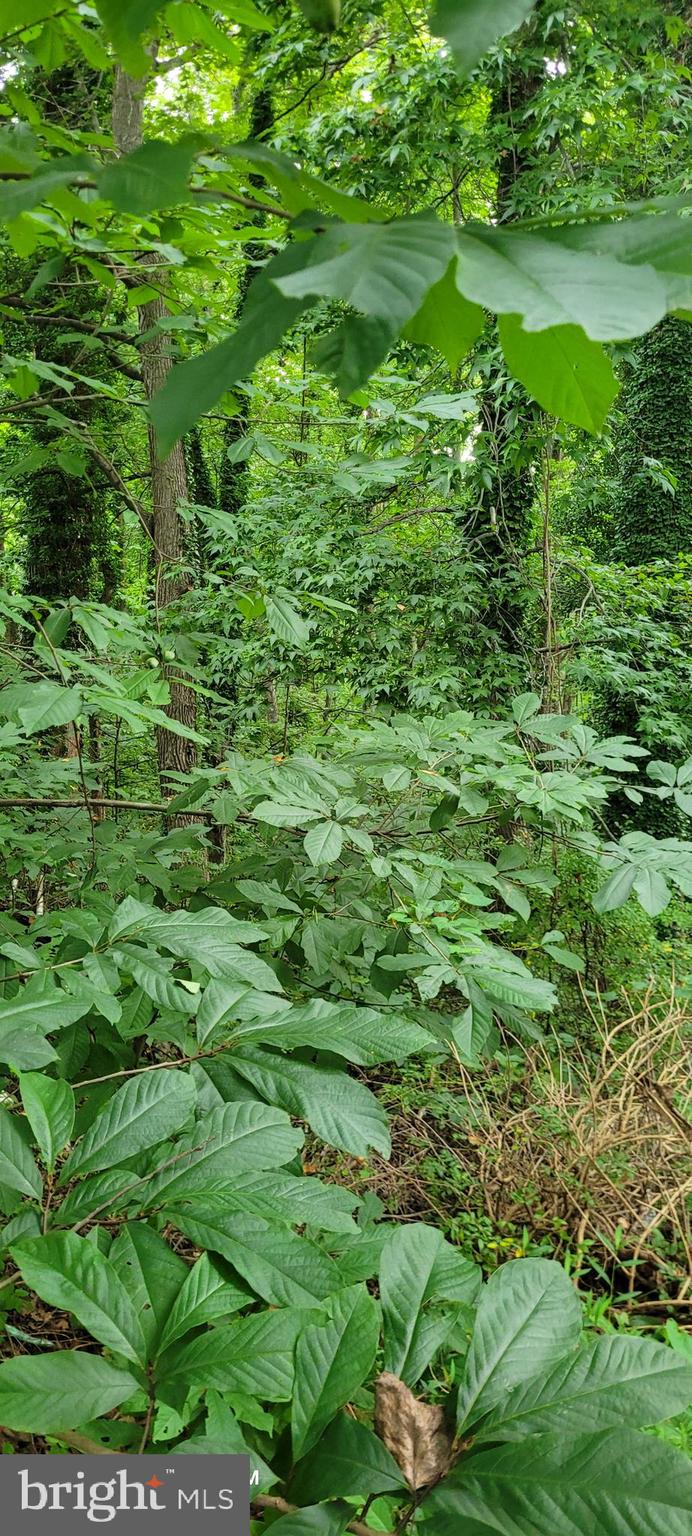 6281 FRANKLIN GIBSON ROAD