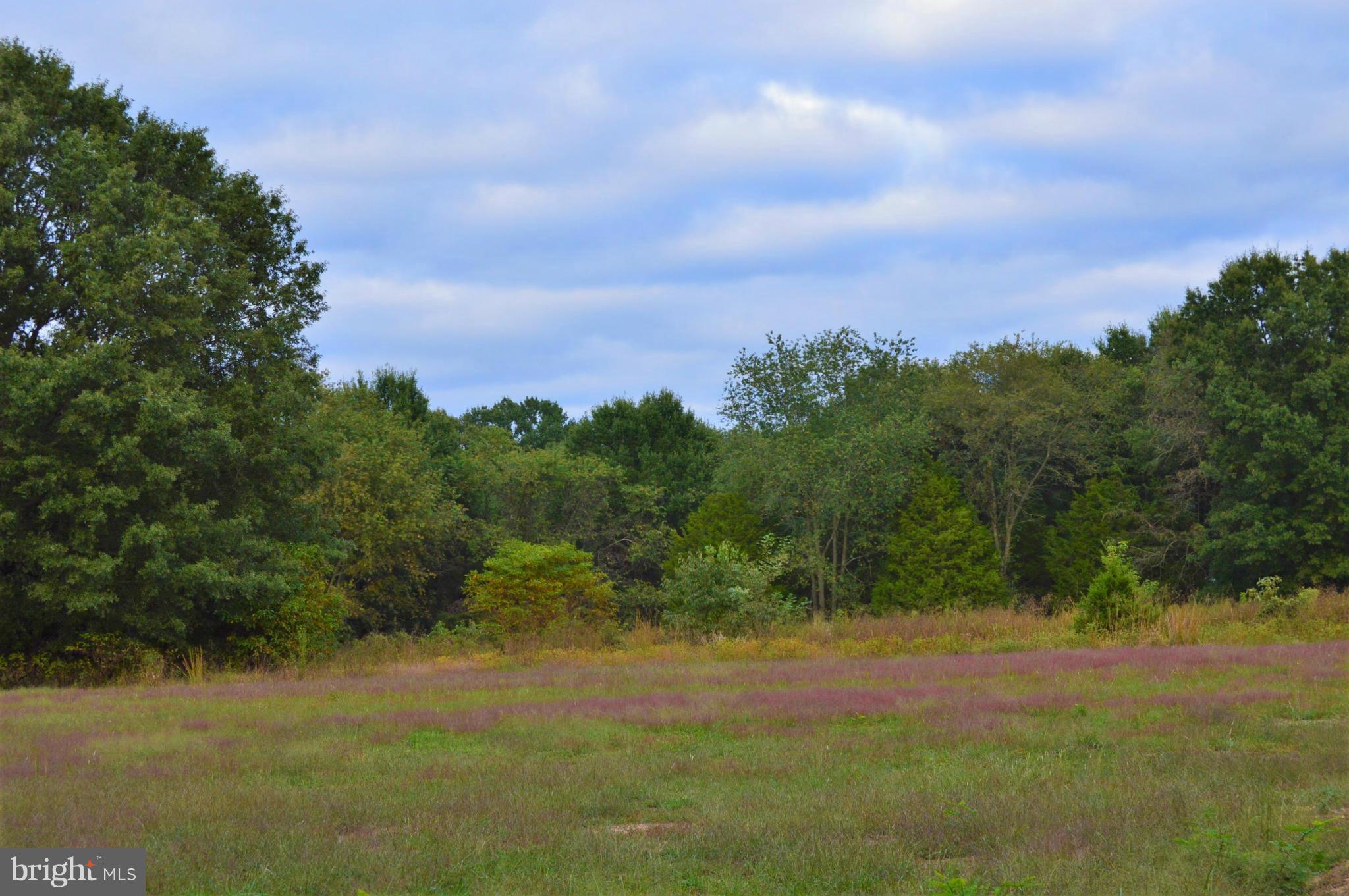 PINE COVE - Residential