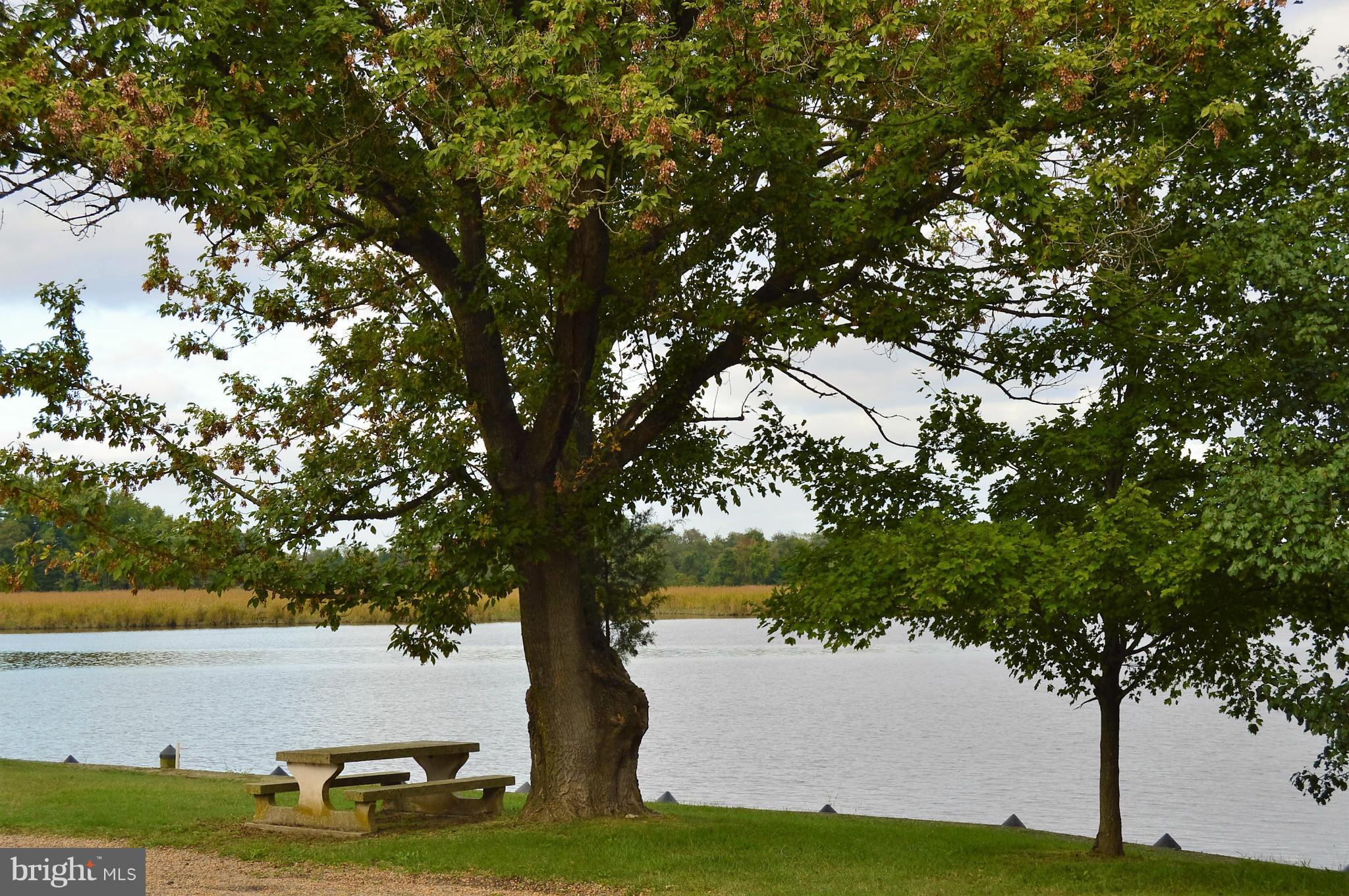 PINE COVE - Residential