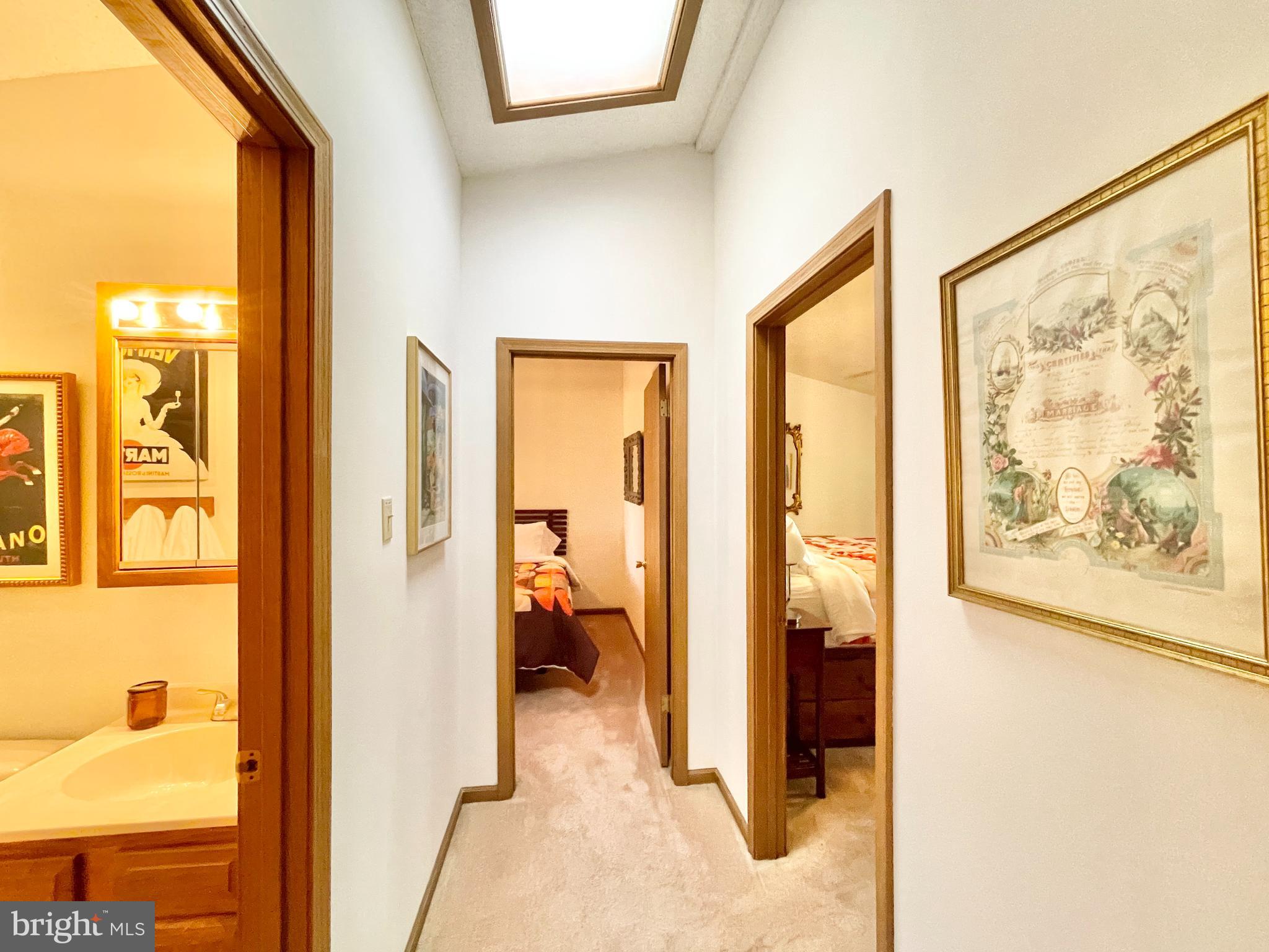 THE WOODS - Residential