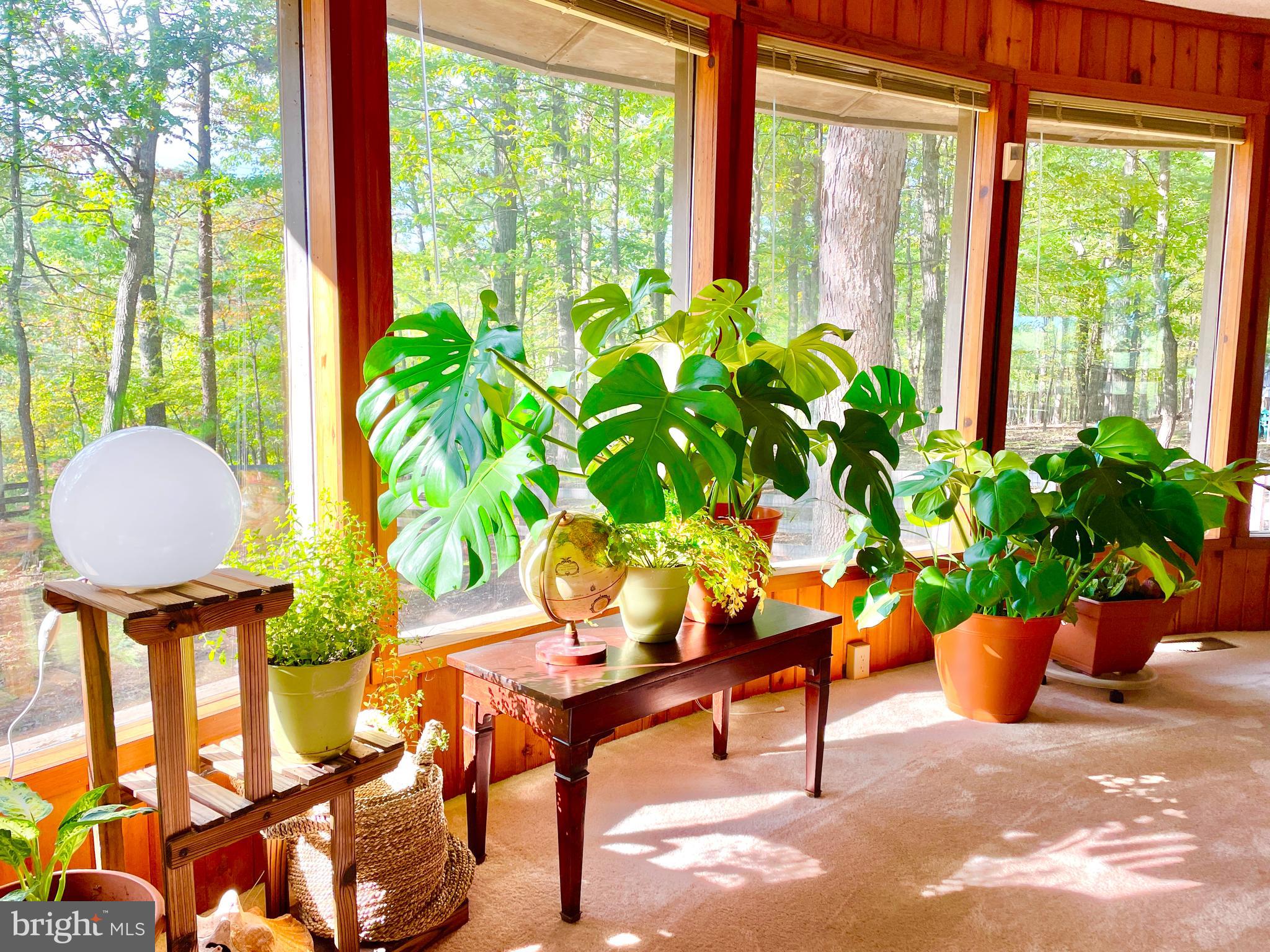 THE WOODS - Residential