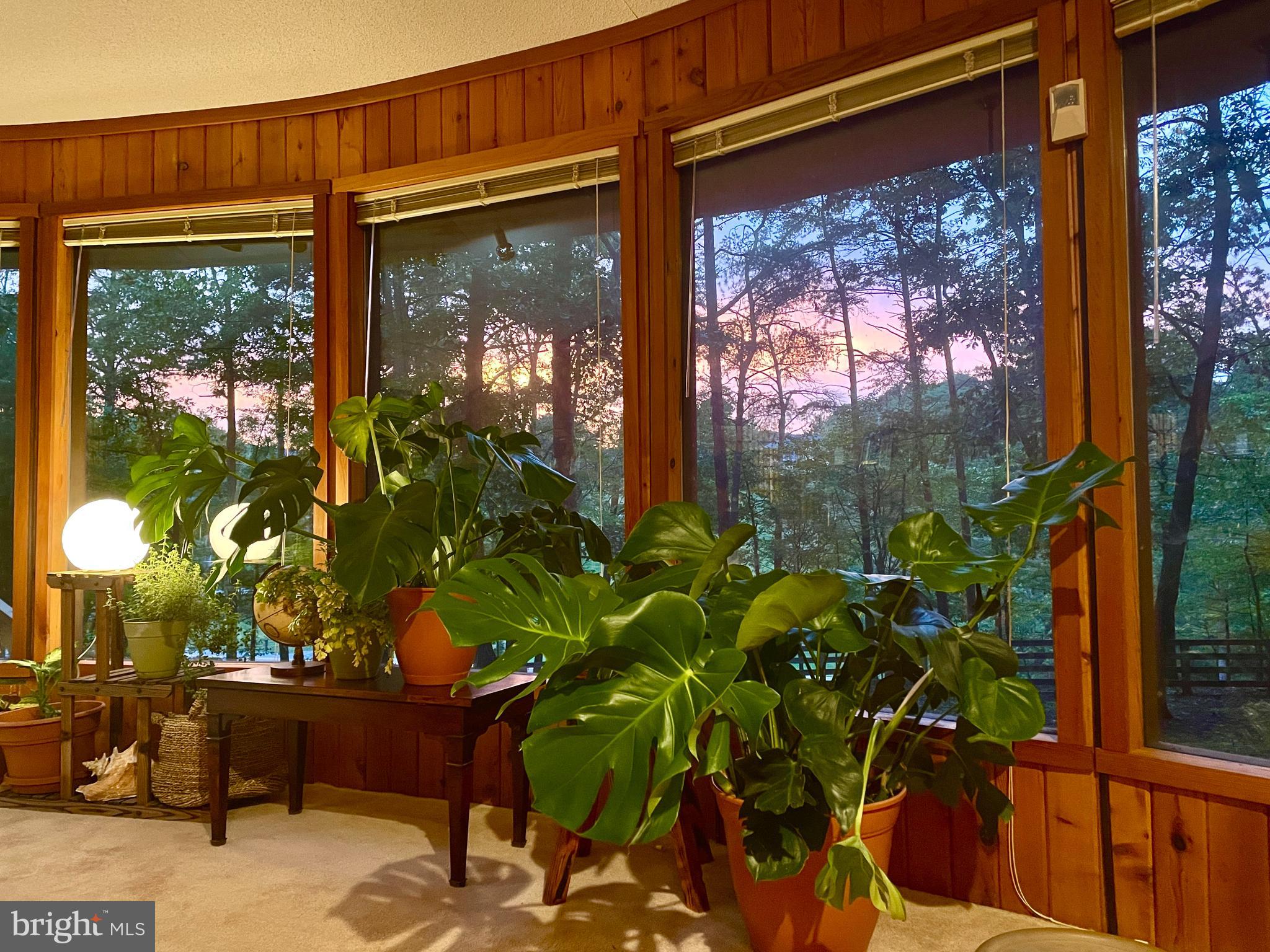 THE WOODS - Residential