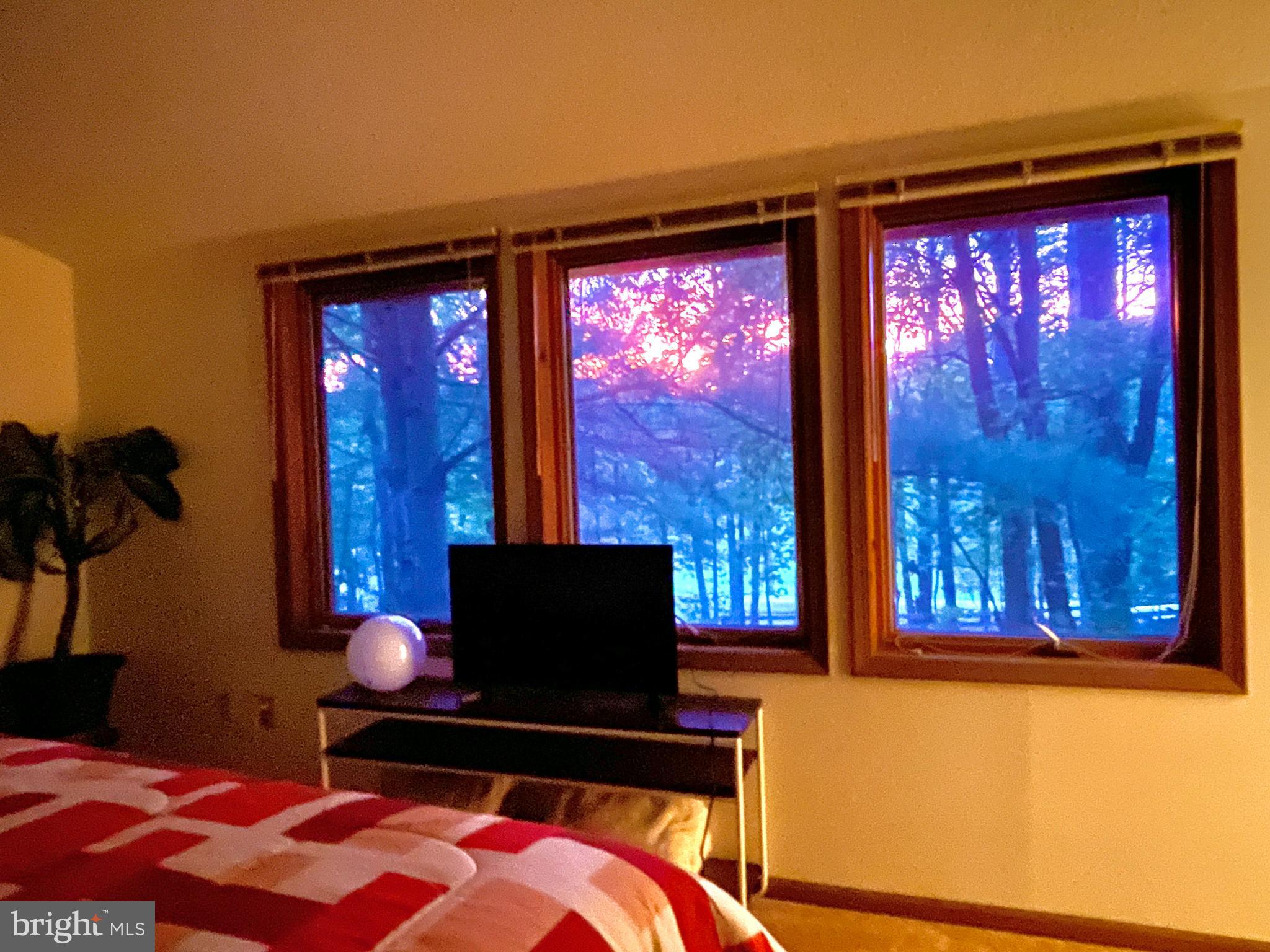 THE WOODS - Residential