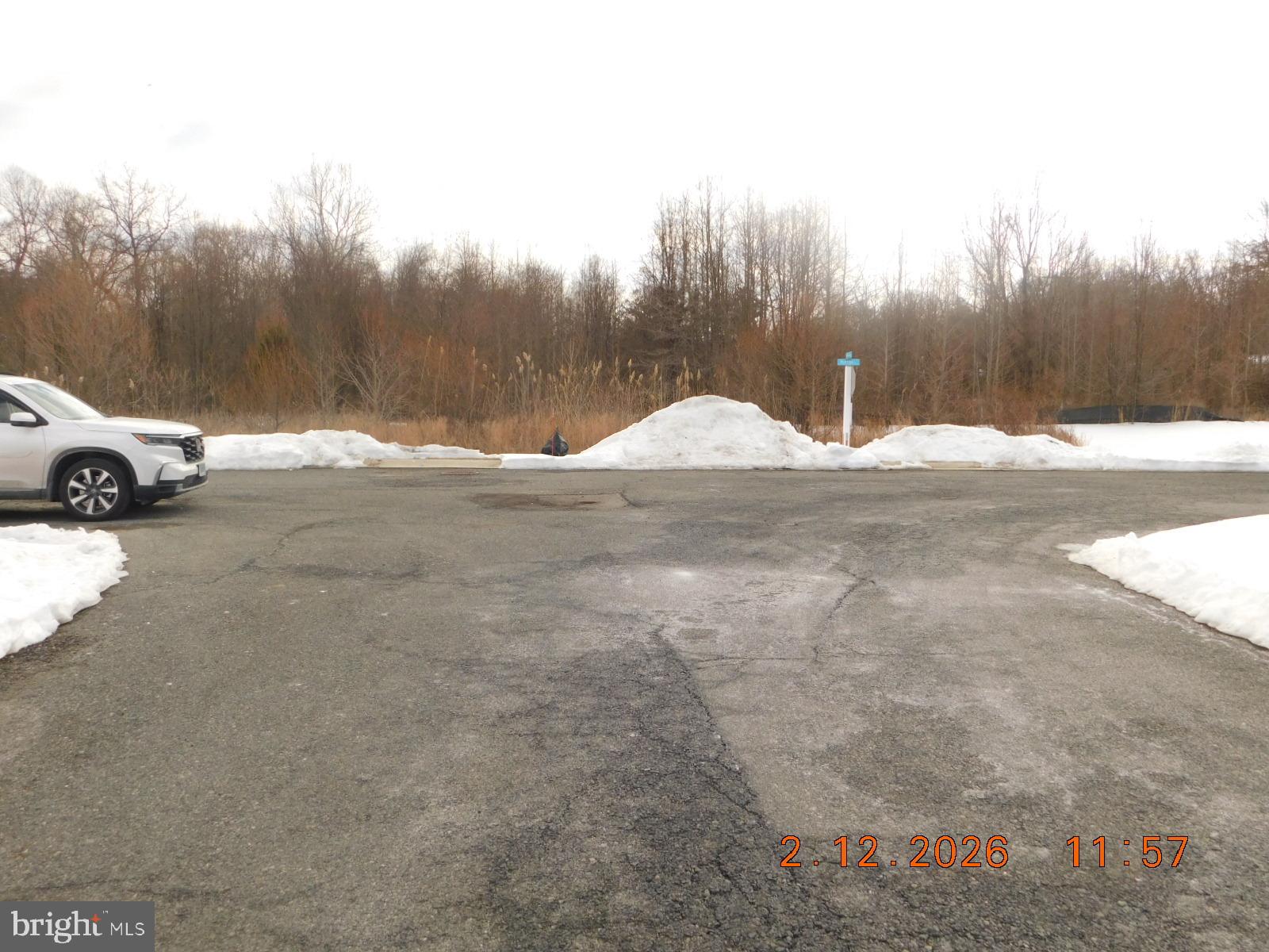 CHESTNUT POINT ESTATES & MARINA - Residential