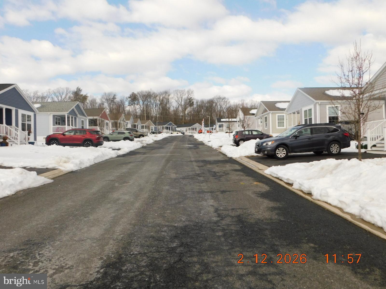 CHESTNUT POINT ESTATES & MARINA - Residential