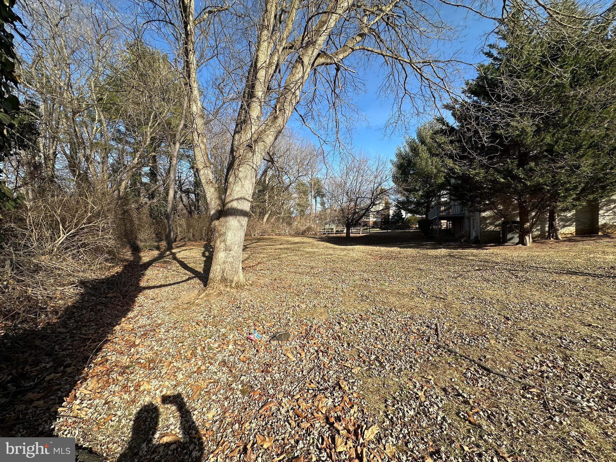 VAN LEAR - Residential