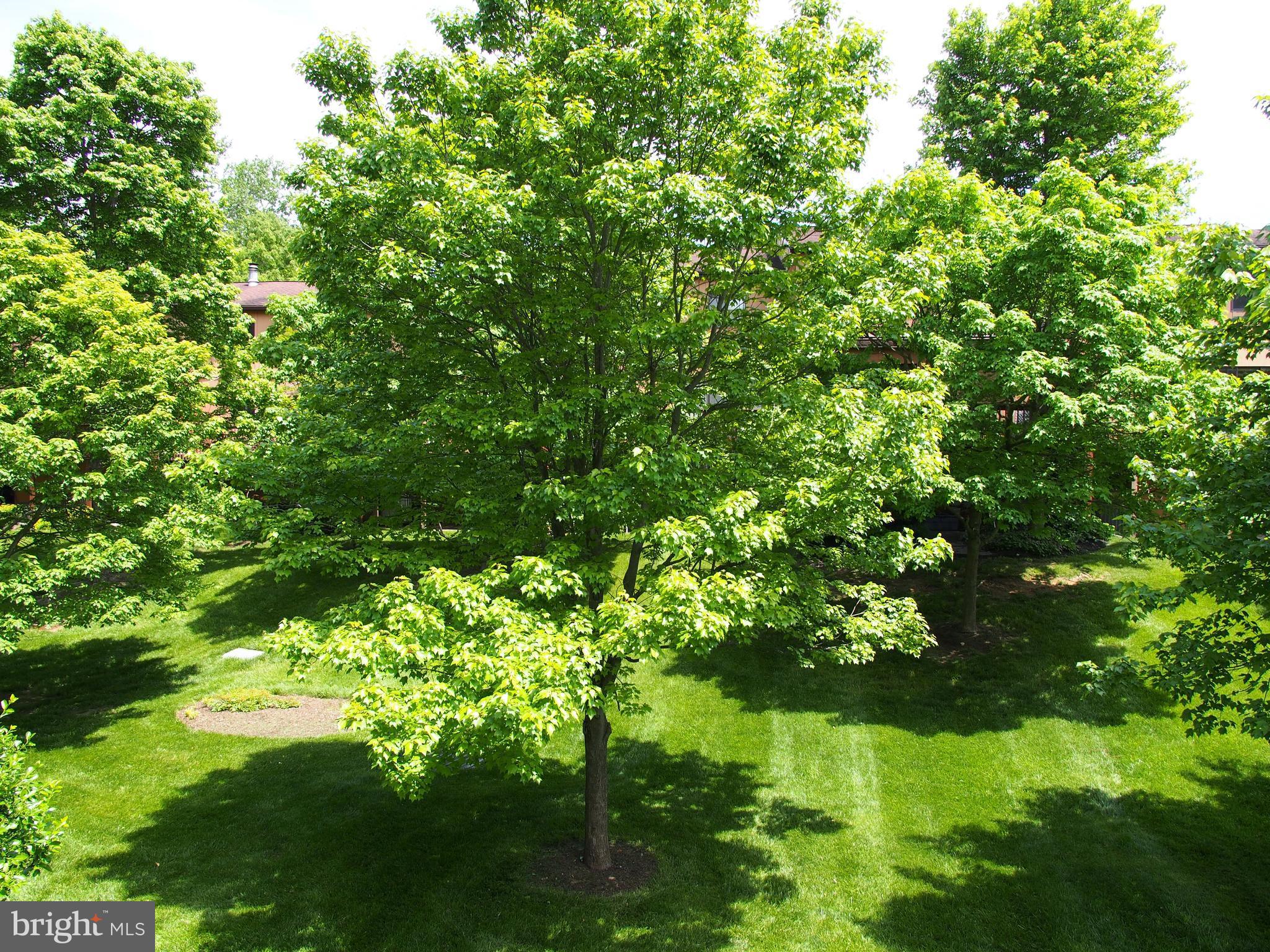 RUXTON CROSSING TOWNHSE - Residential Lease