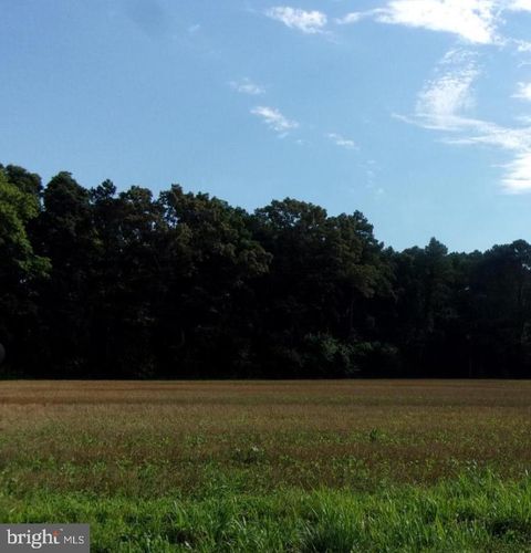 2 parcel 133-06.00-18.02 EAST PINEY GROVE ROAD GEORGETOWN DE 19947