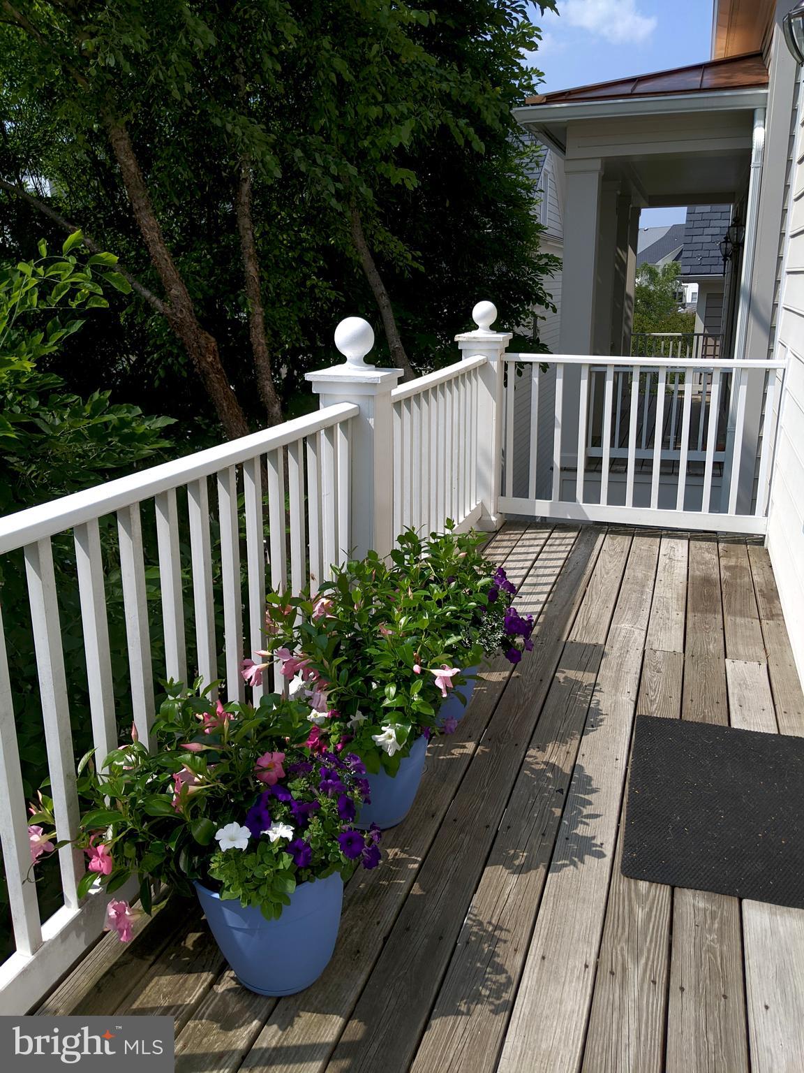 KENTLANDS MIDTOWN - Residential