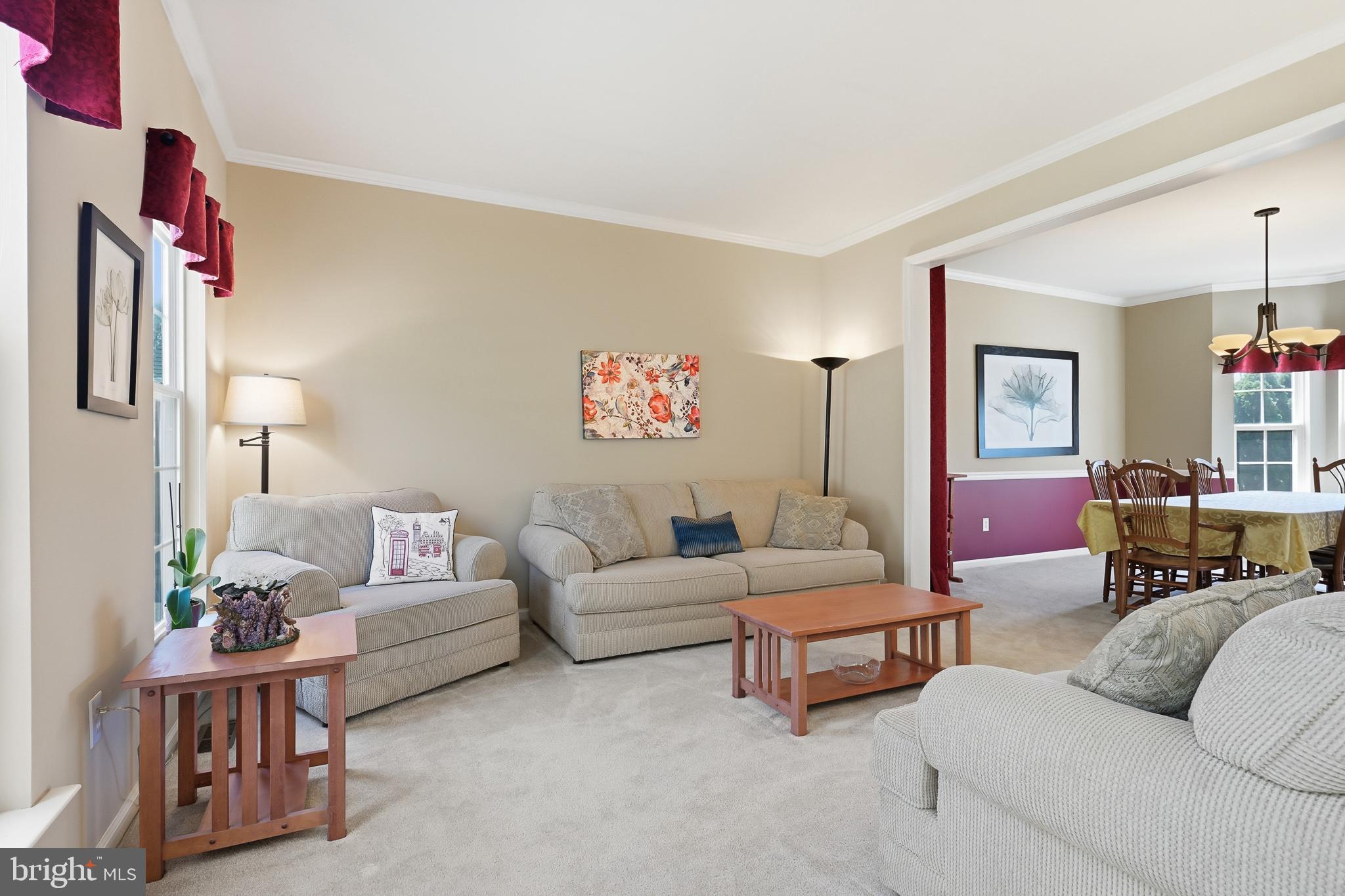 99 WILLOW GROVE MILL DRIVE