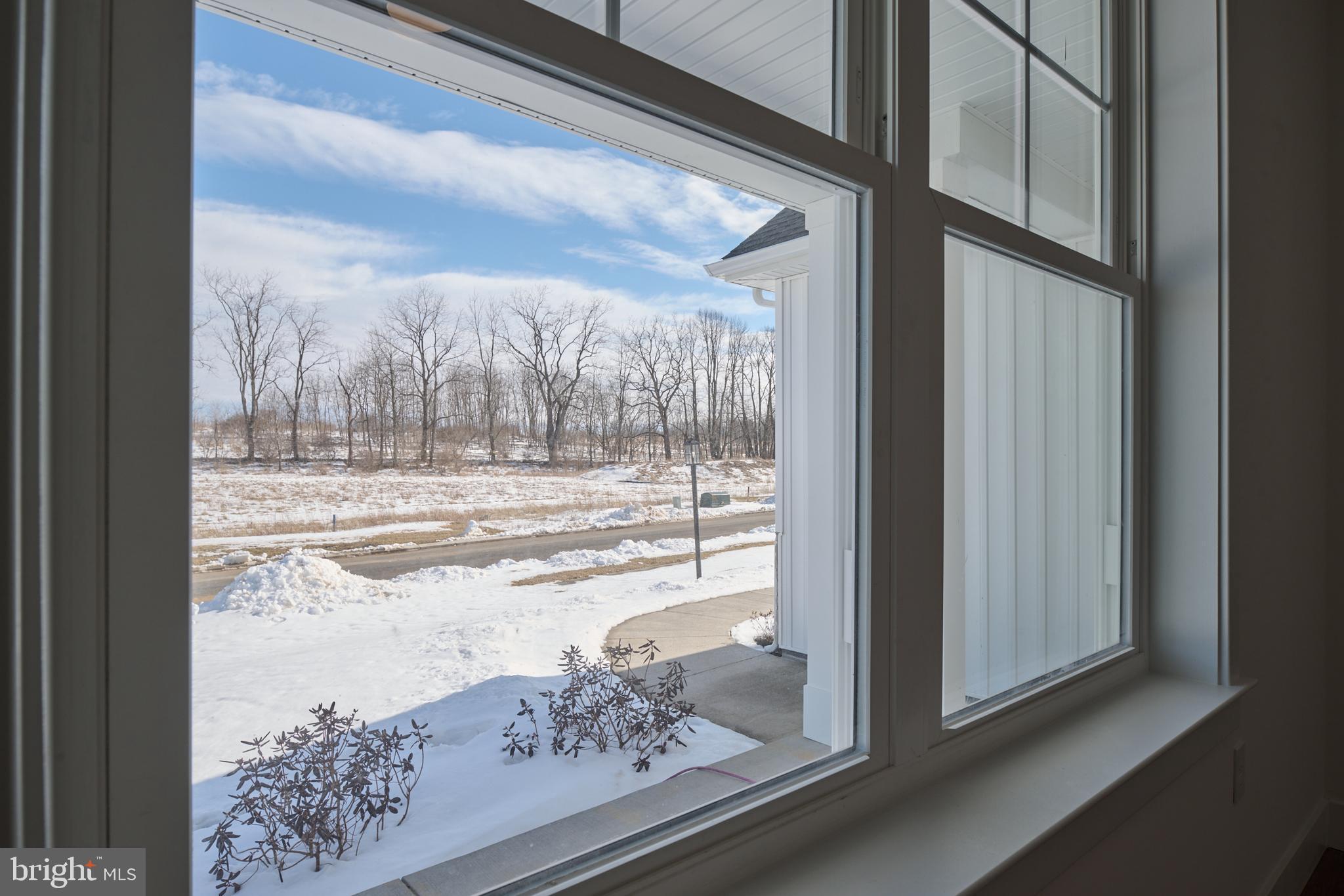 THE HORIZON AT BRUSH VALLEY - Residential