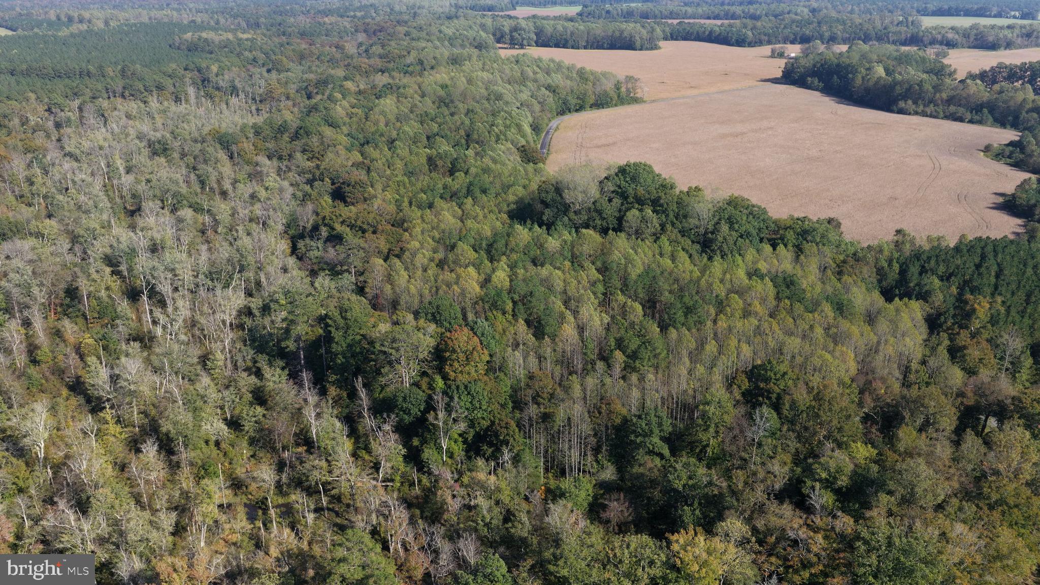 TIMBER BRANCH ROAD
