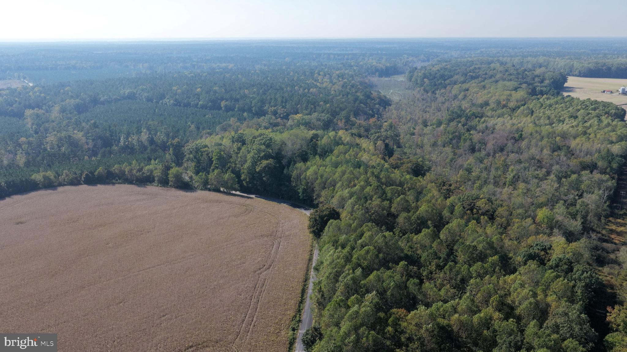 TIMBER BRANCH ROAD