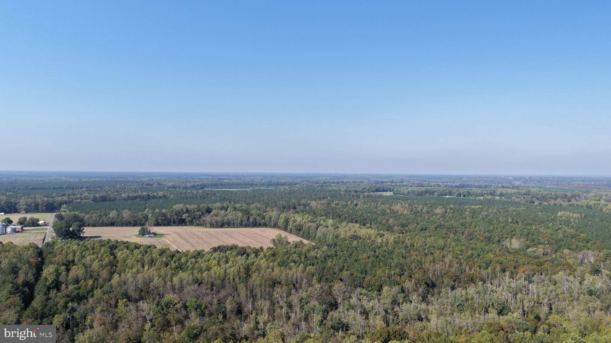 TIMBER BRANCH ROAD
