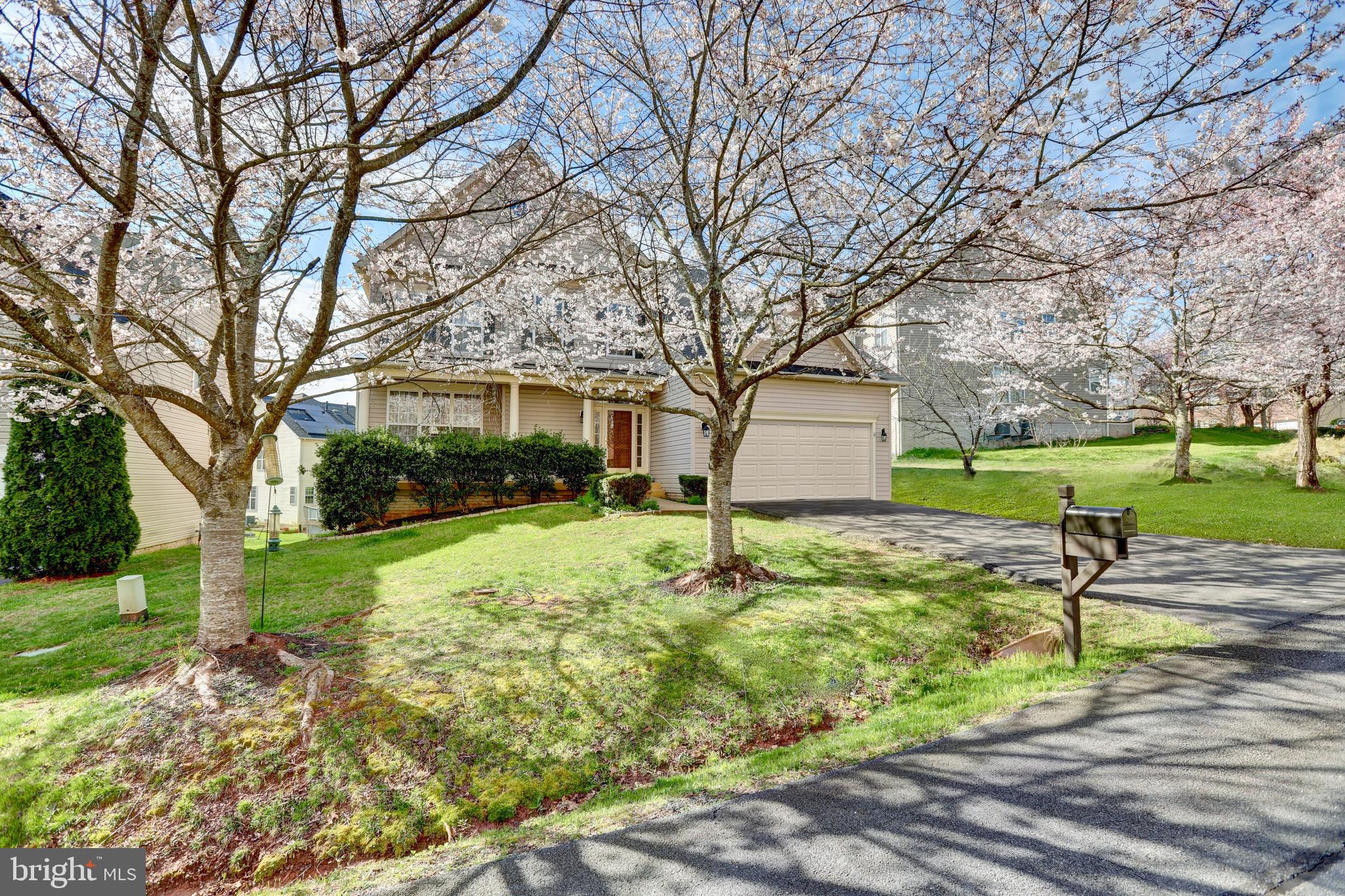 HOPEWELLS LANDING - Residential