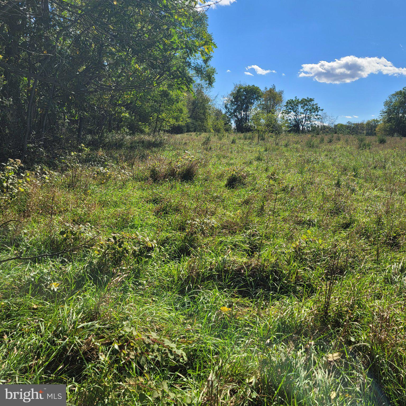 OTTER RUN PLACE LOT 3
