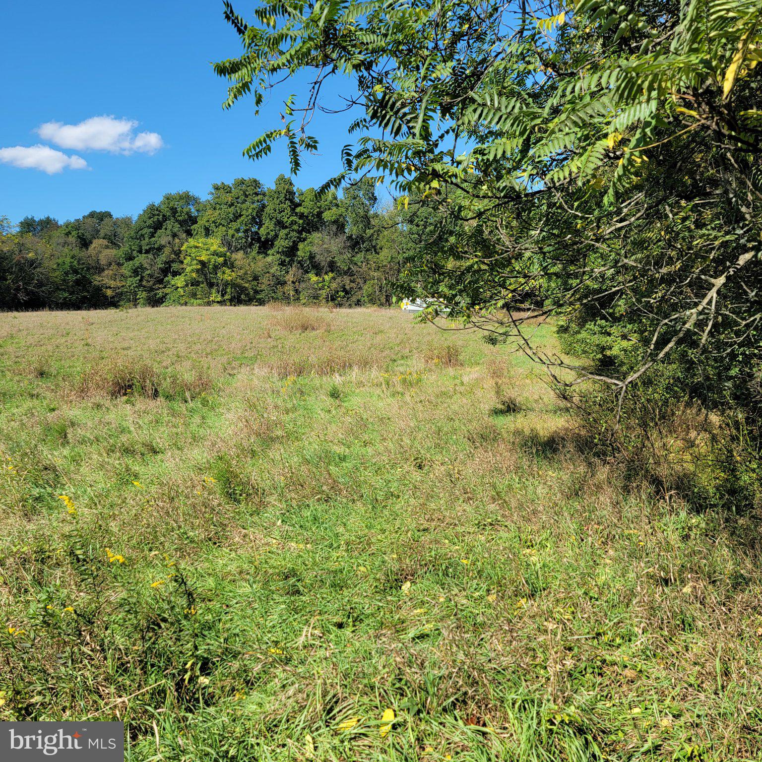 OTTER RUN PLACE LOT 3