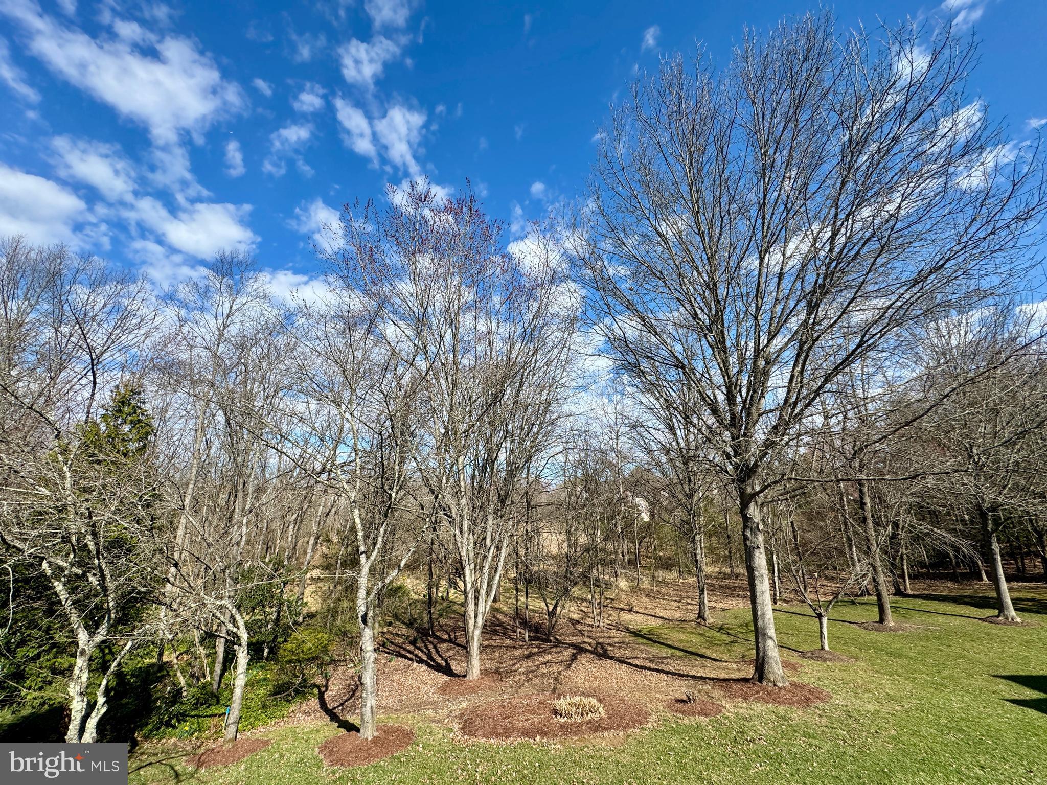 POTOMAC GLEN - Residential