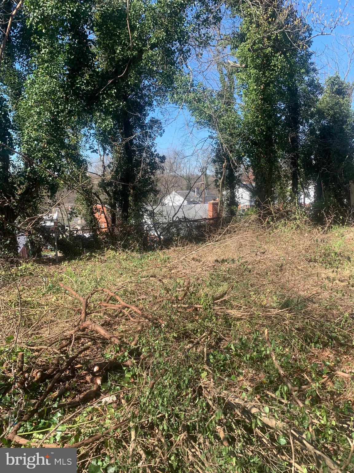 BEACON HEIGHTS - Residential