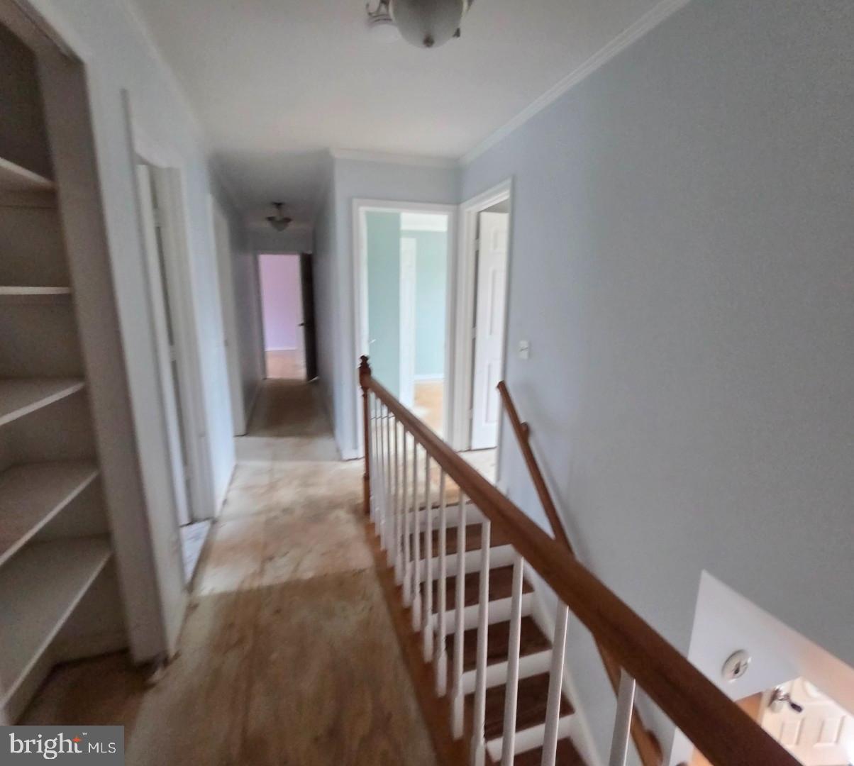 WHITE HALL FOREST PLAT 6 - Residential