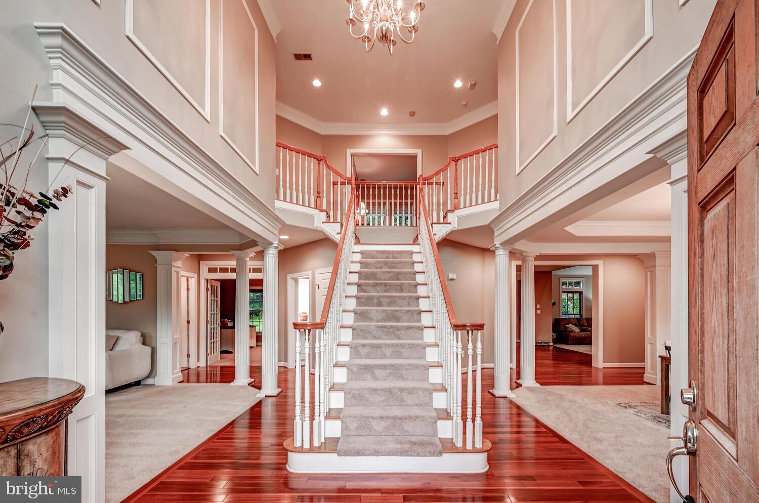 CAMERON RUN - Residential