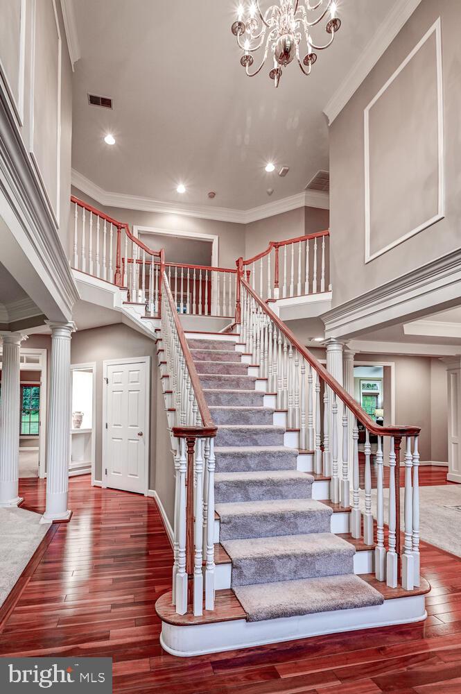 CAMERON RUN - Residential