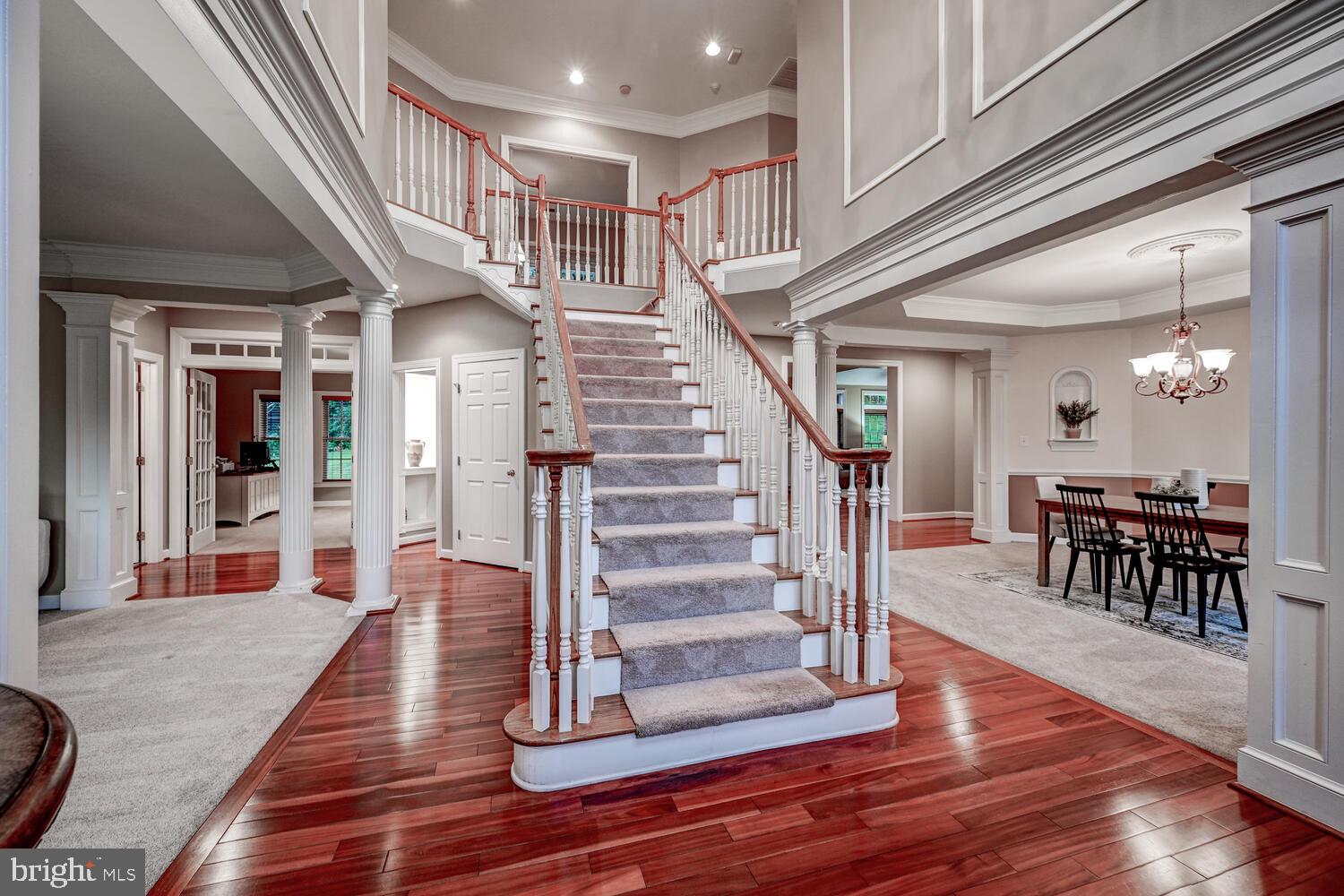 CAMERON RUN - Residential