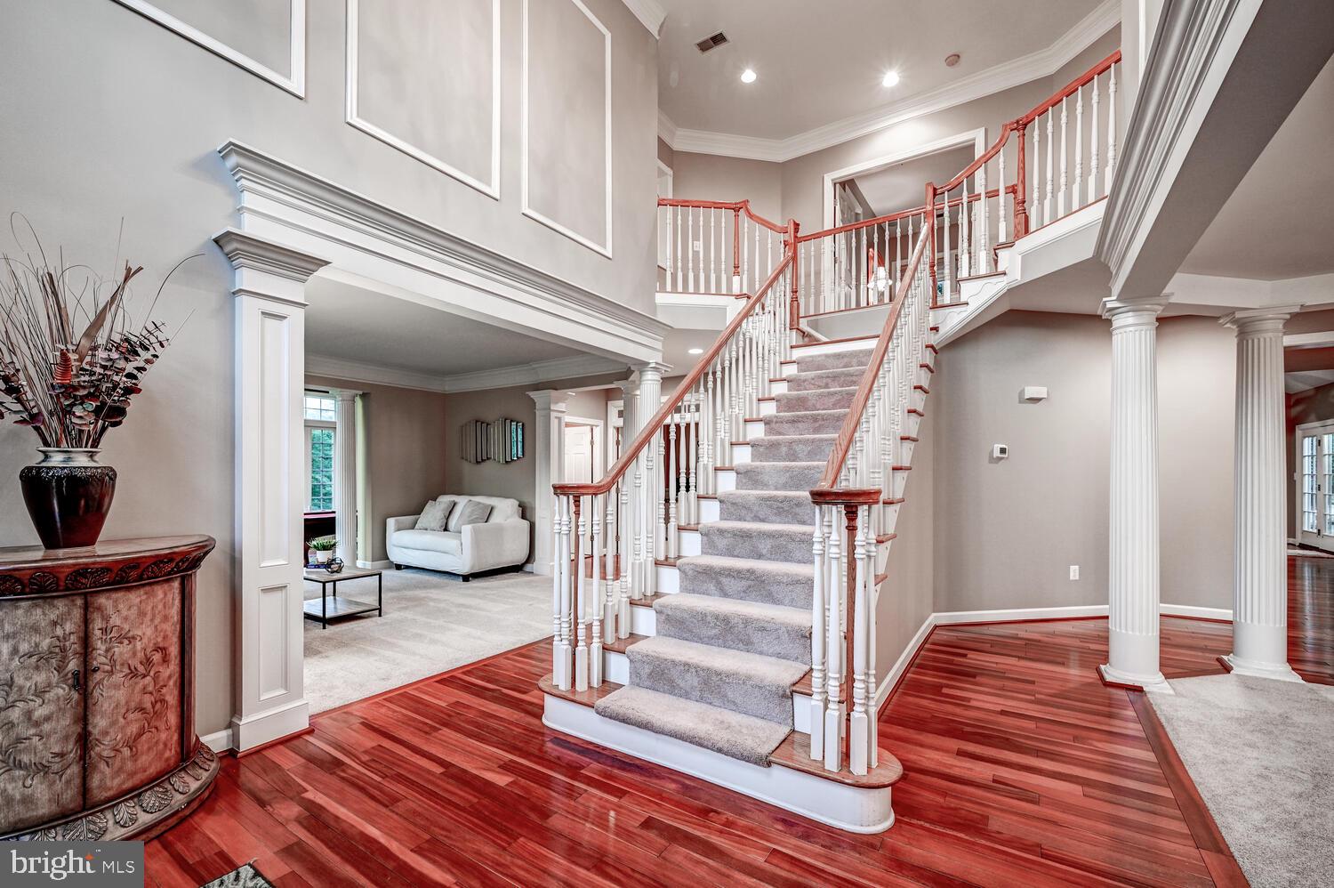 CAMERON RUN - Residential