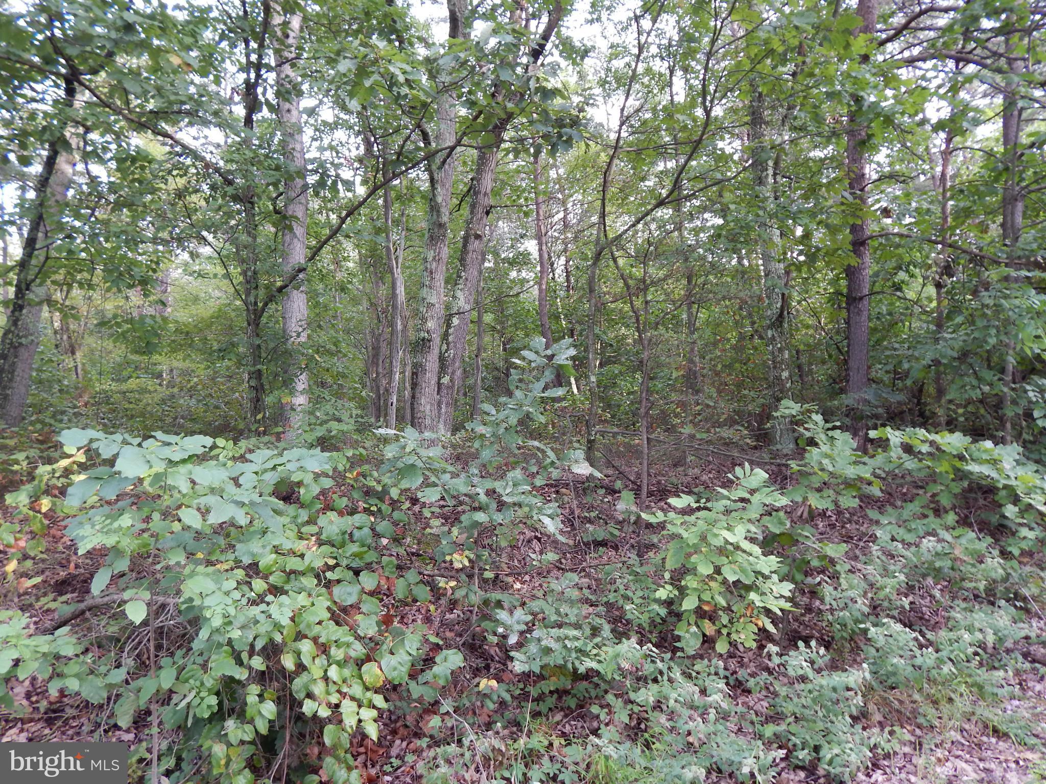 NONE AVAILABLE - Land