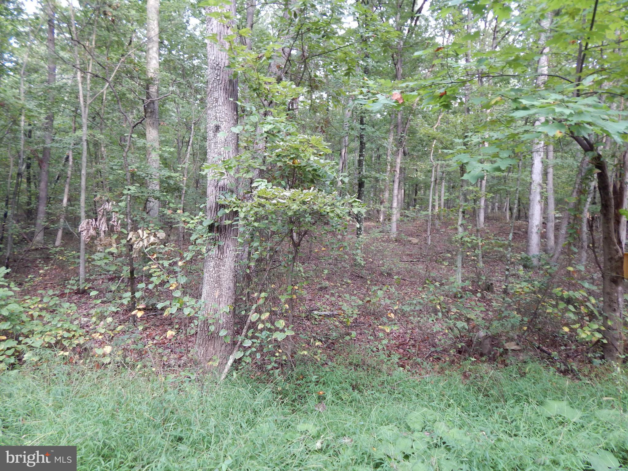 NONE AVAILABLE - Land