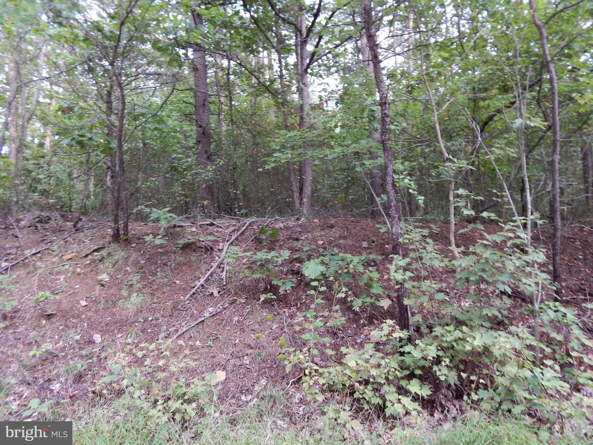 NONE AVAILABLE - Land