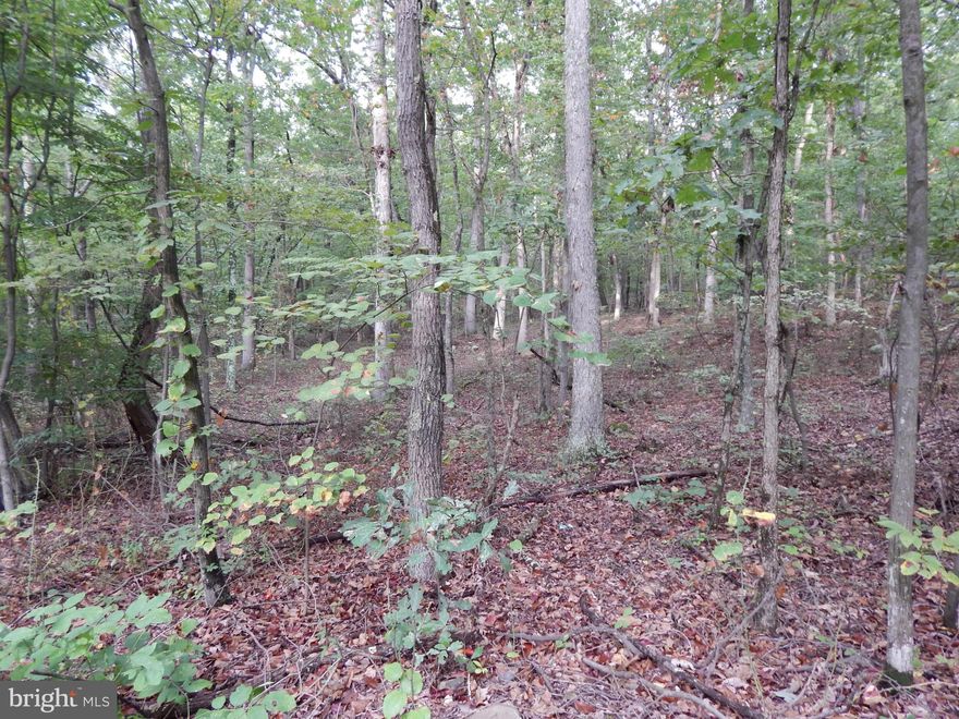 ATTENTION HUNTERS!!  Build your cabin on this 3.13 wooded ac. lot, bordering Sleepy Creek Public Hunting & Fishing.   Boasting 23,000 Acres, this state owned land offers hunting, 70 miles of hiking trails, which lead to Sleepy Creek Lake for fishing, to Meadow Branch stream, Devils Nose & the power line observation point. Just 2/10 M from county road for easy access.  Perc records on file.