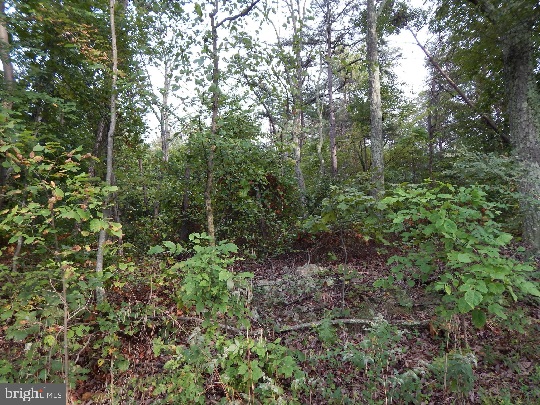 NONE AVAILABLE - Land