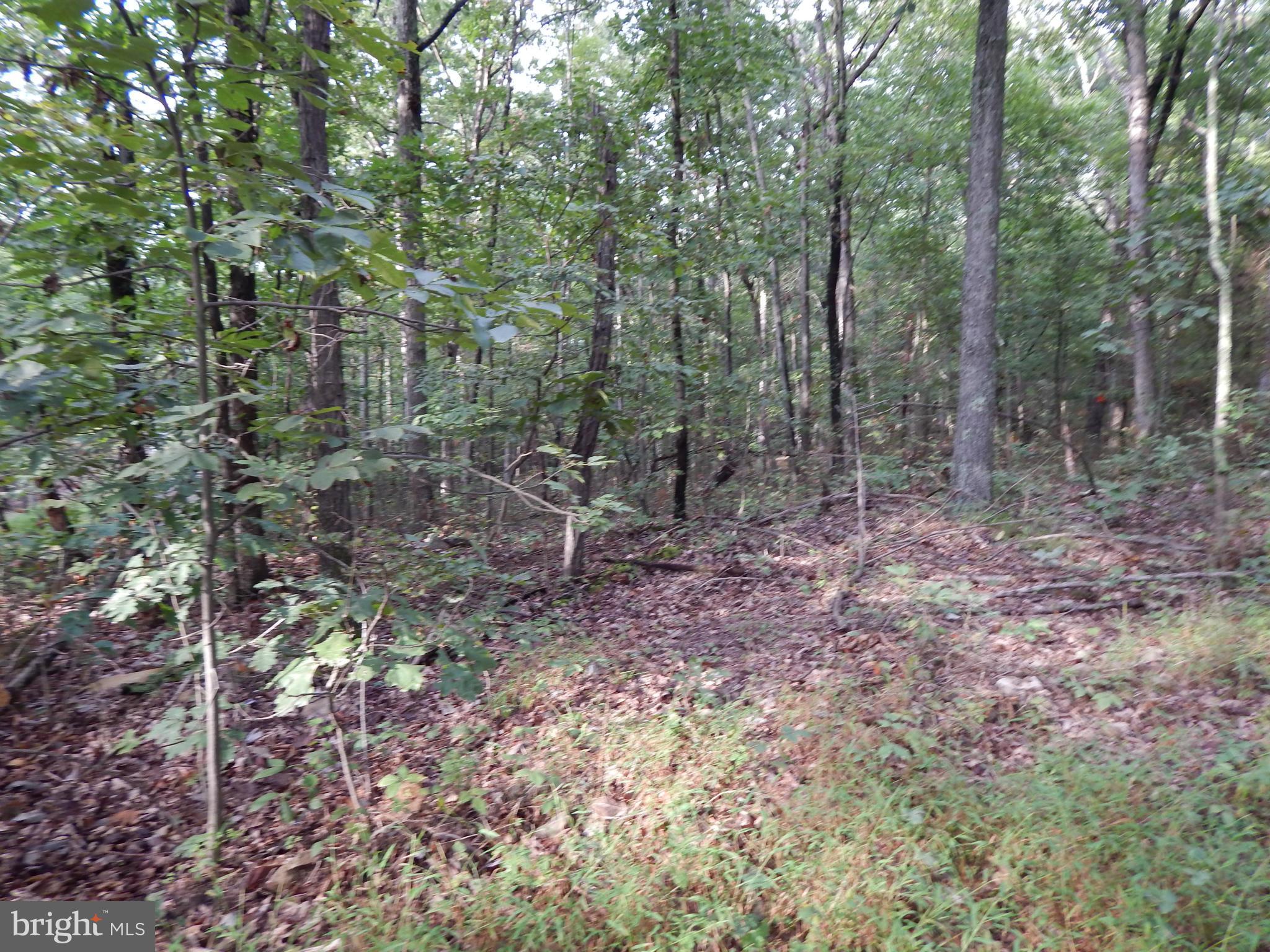 NONE AVAILABLE - Land