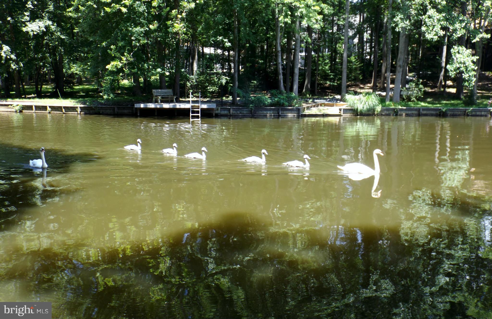 LAKE OF THE WOODS - Residential