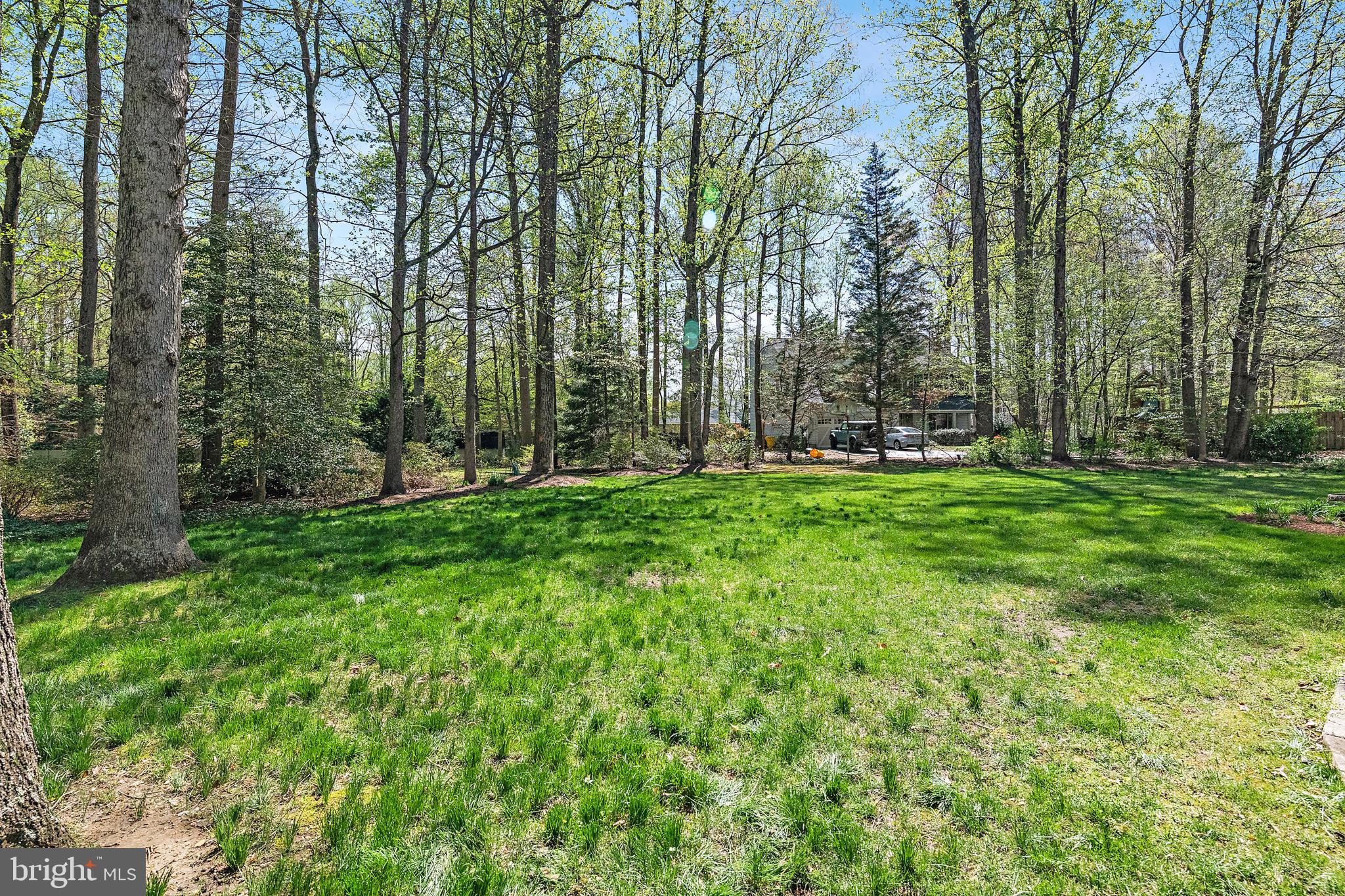 1788 ROCHESTER STREET 1B