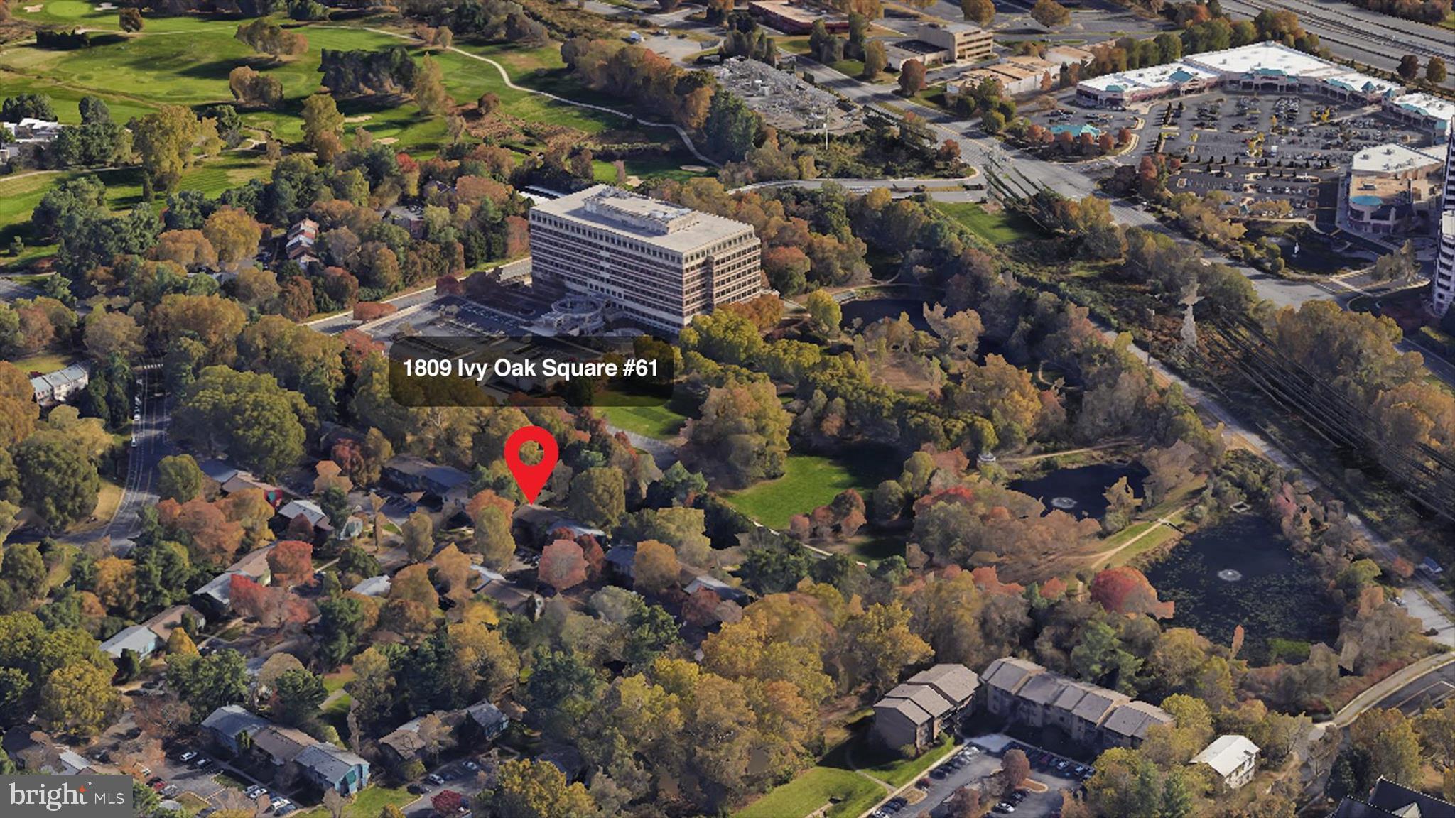 1809 IVY OAK SQUARE 61