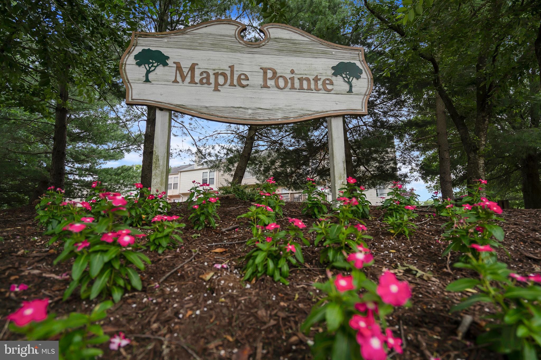 MAPLE POINTE - Residential