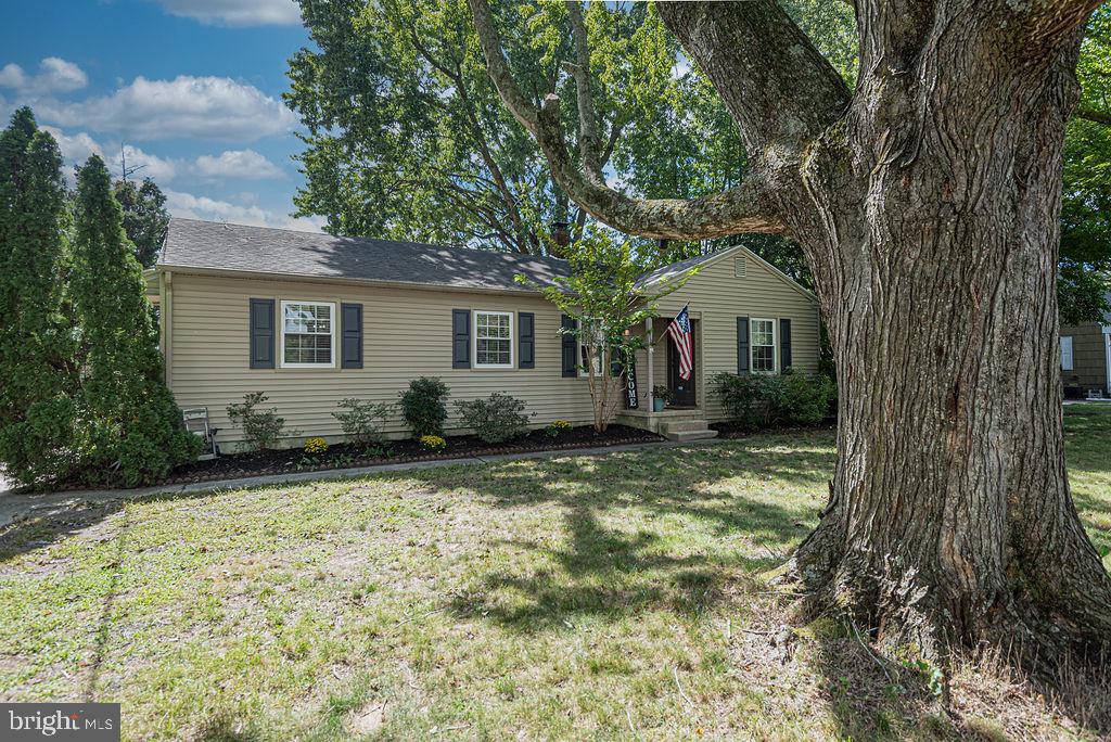 110 JOHNSON DRIVE