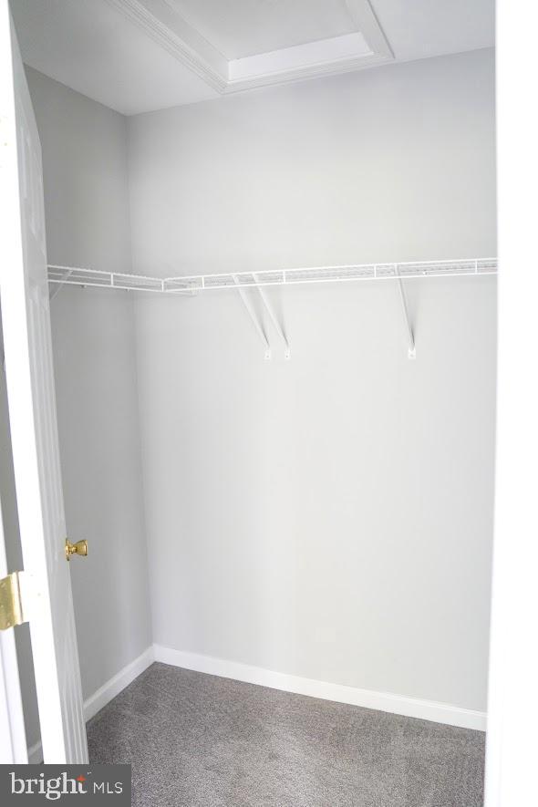 COUNTY GREEN - Residential